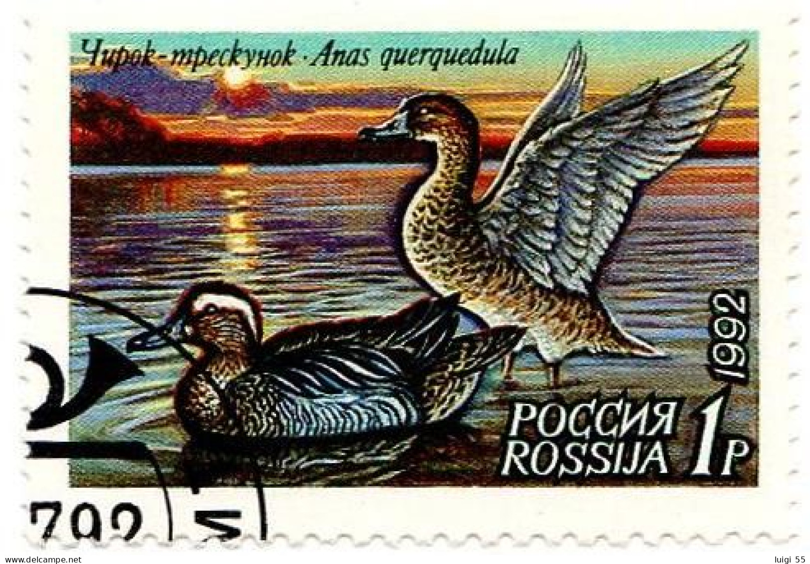 RUSSIA - 1992 - Uccelli - Anatre - Usato - Oblitérés