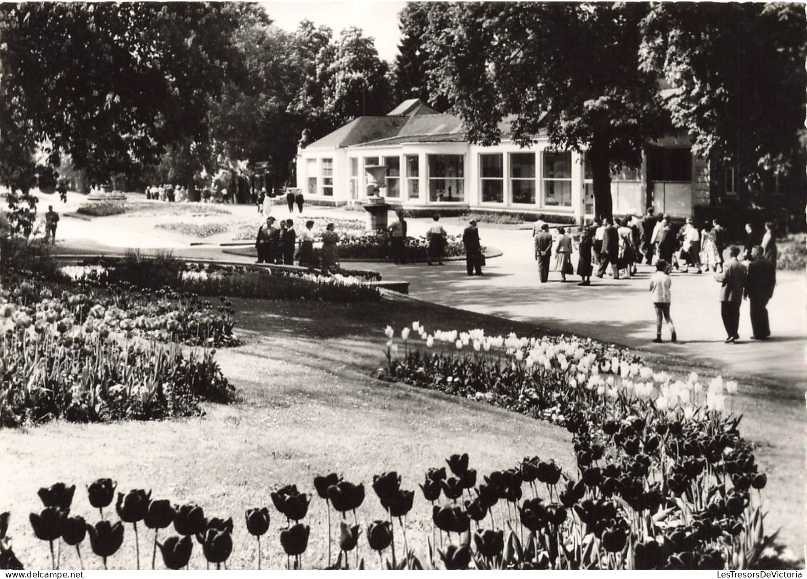 LUXEMBOURG - Mondorf Les Bains - Les Thermes - Jardin - Carte Postale - Bad Mondorf