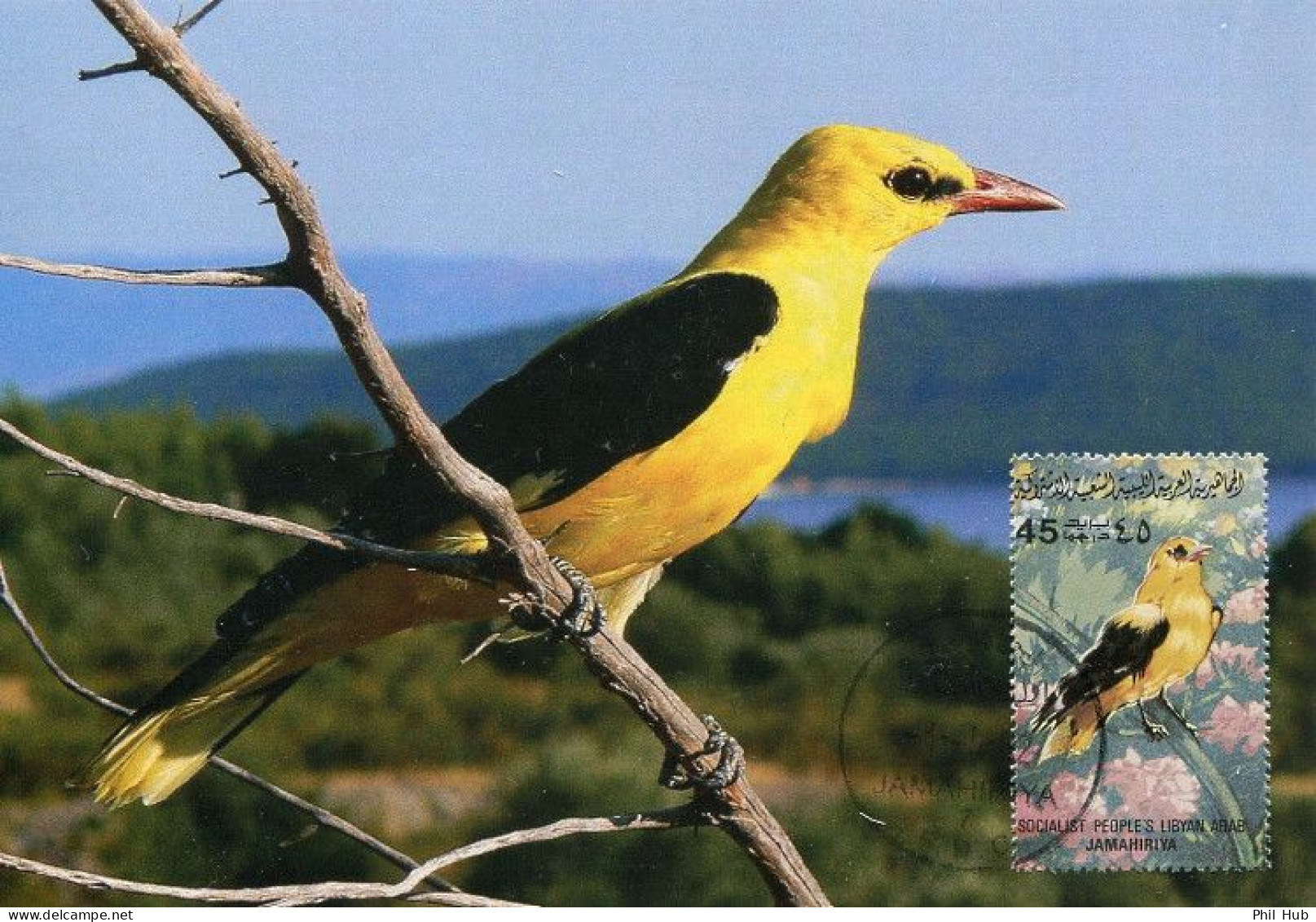 LIBYA 1982 Birds Bird "Golden Oriole" (maximum-card) #9 - Passeri
