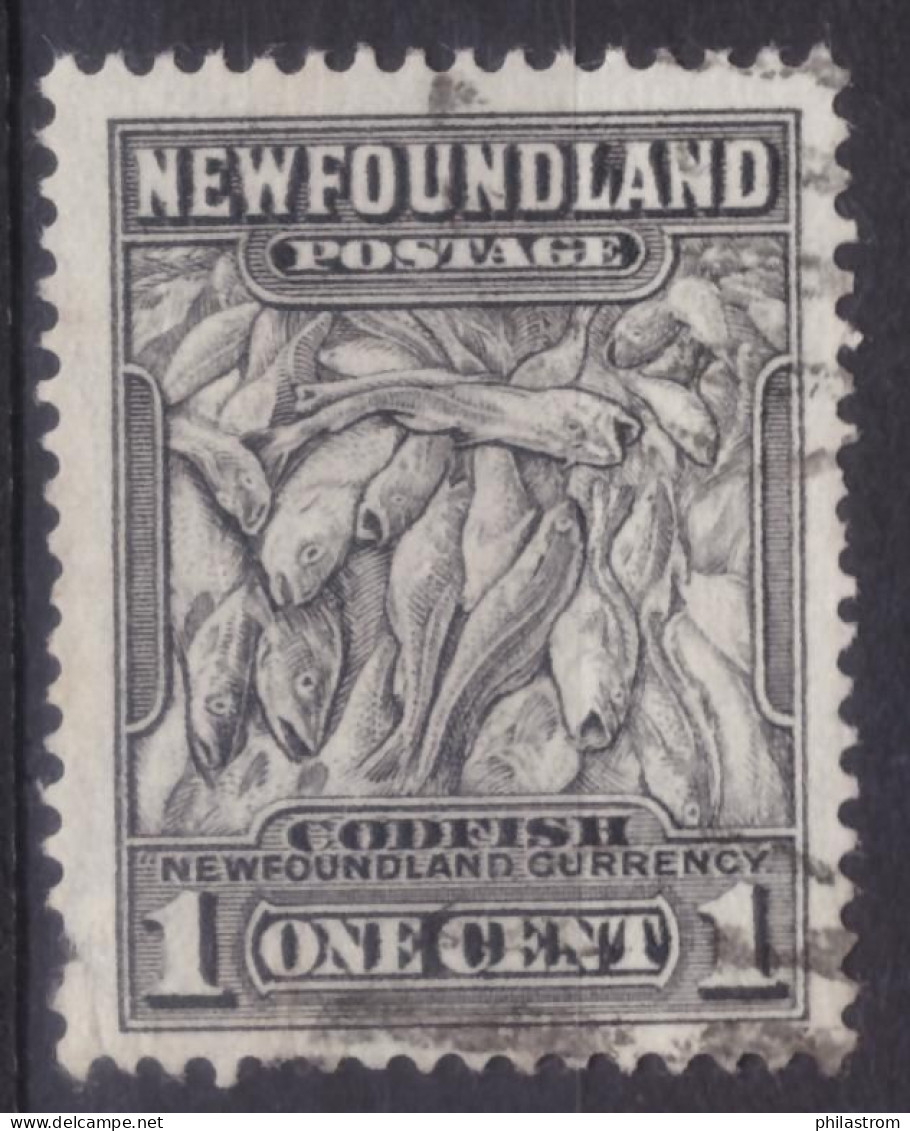 New Foundland  - One Cent (ZSUKKL-0087) - 1857-1861