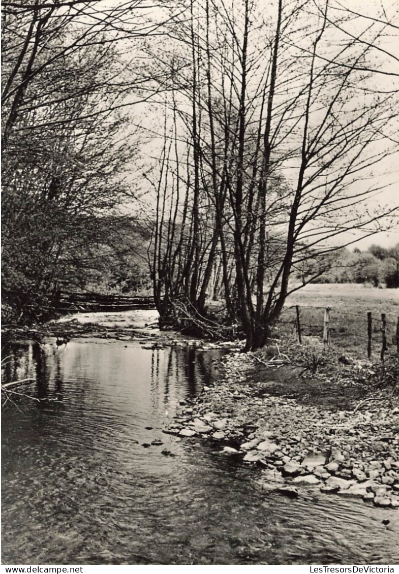 BELGIQUE - Nassogne En Ardenne - Hôtel - Beau Séjour - Carte Postale - Nassogne