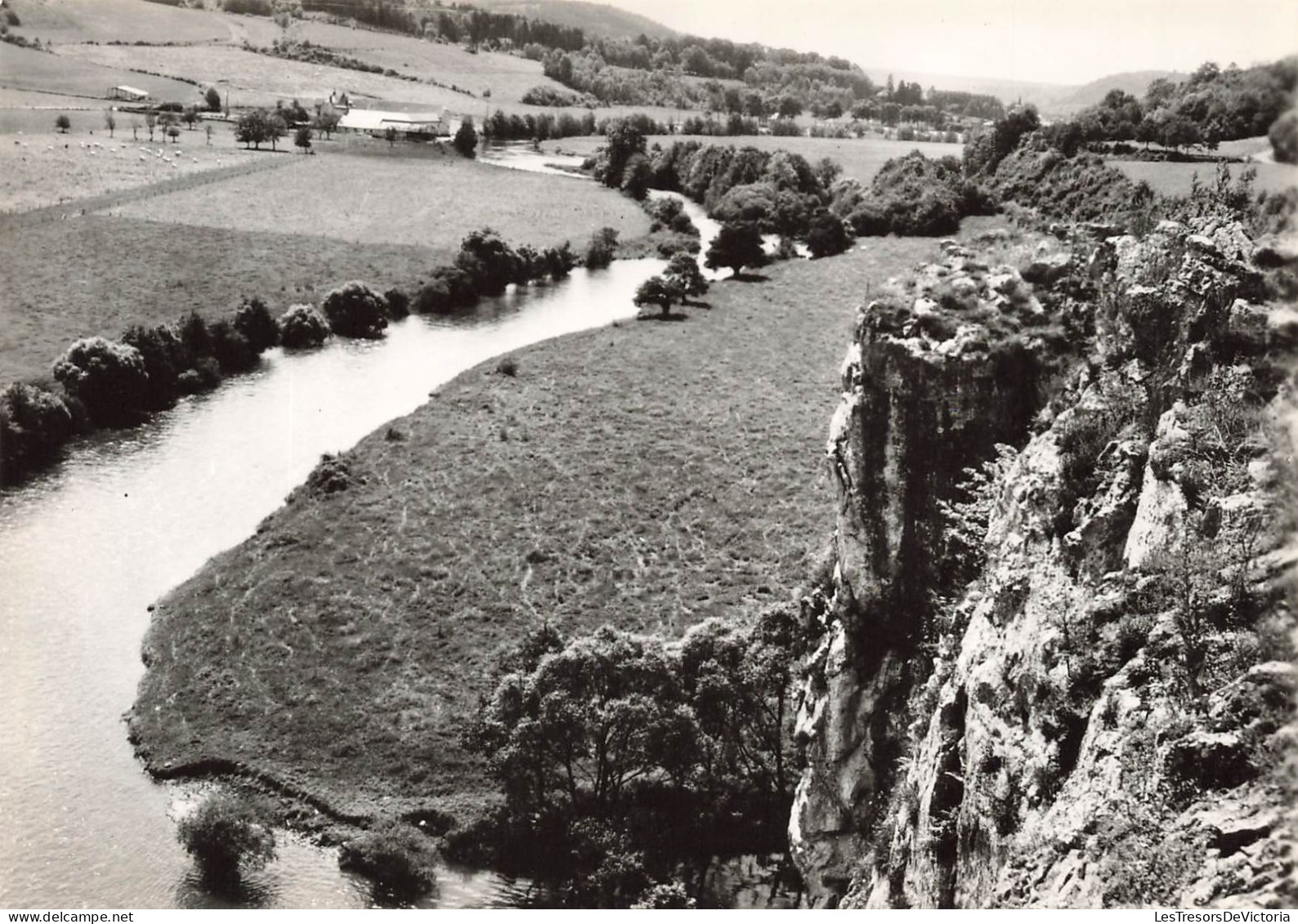 BELGIQUE - Barvaux Sur Ourthe - Vue De L'Ourthe Prise Des Rochers De Glawan - Carte Postale - Durbuy