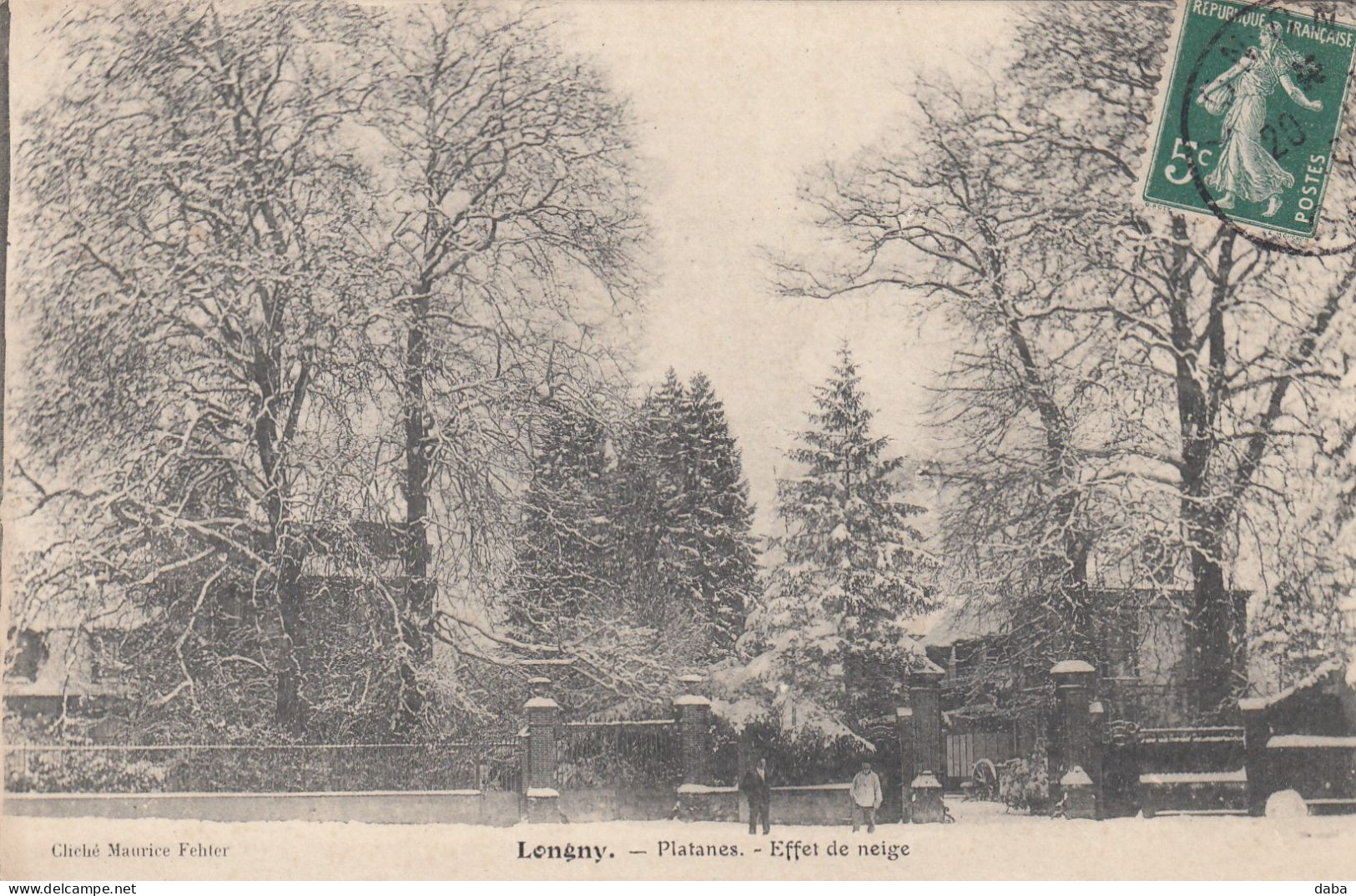 Longny.  Platanes.  Effet De Neige - Longny Au Perche