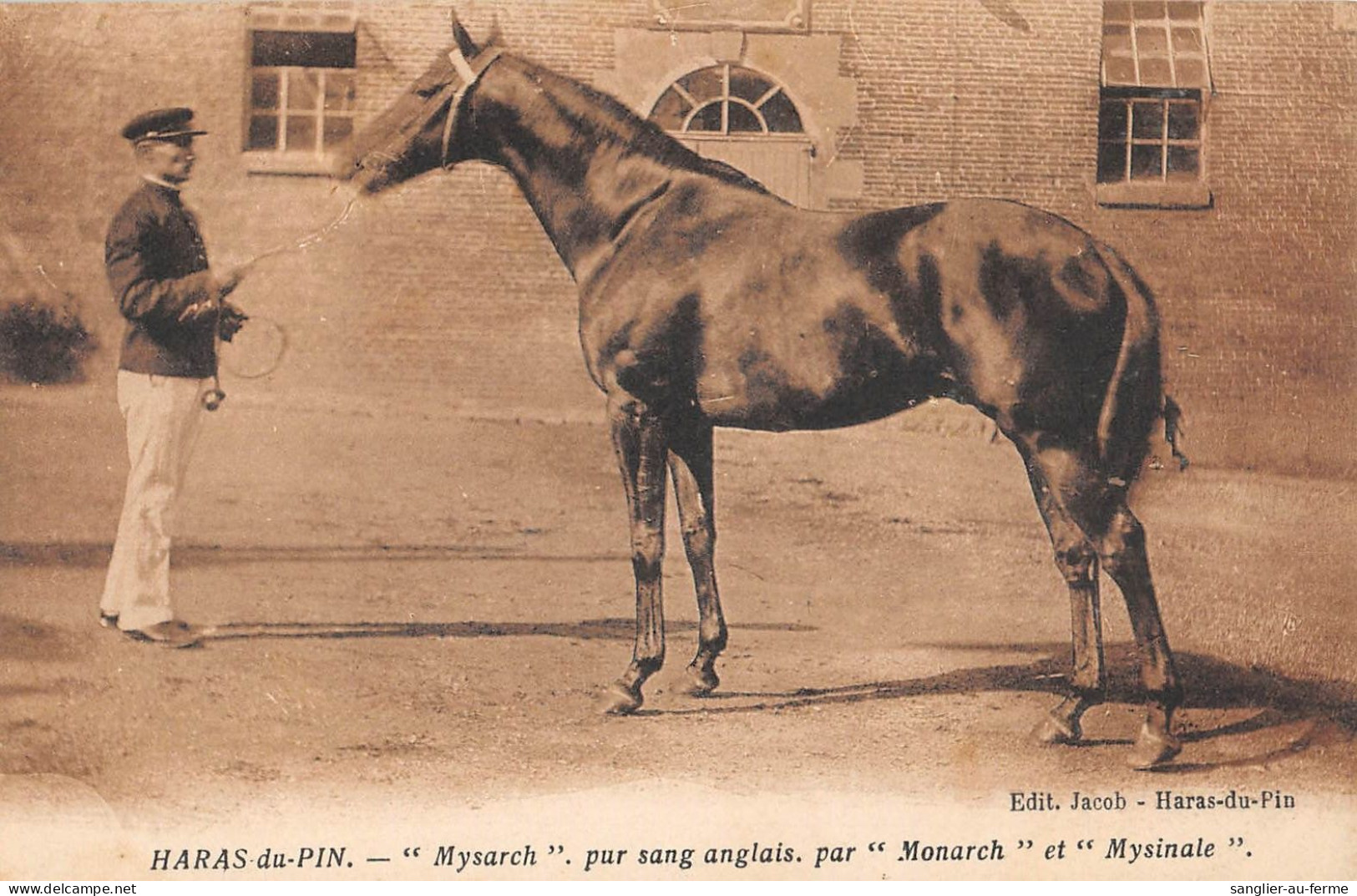 CPA 61 HARAS DU PIN  / MYSARCH / PUR SANG ANGLAIS PAR MONARCH ET MYSINALE - Andere & Zonder Classificatie