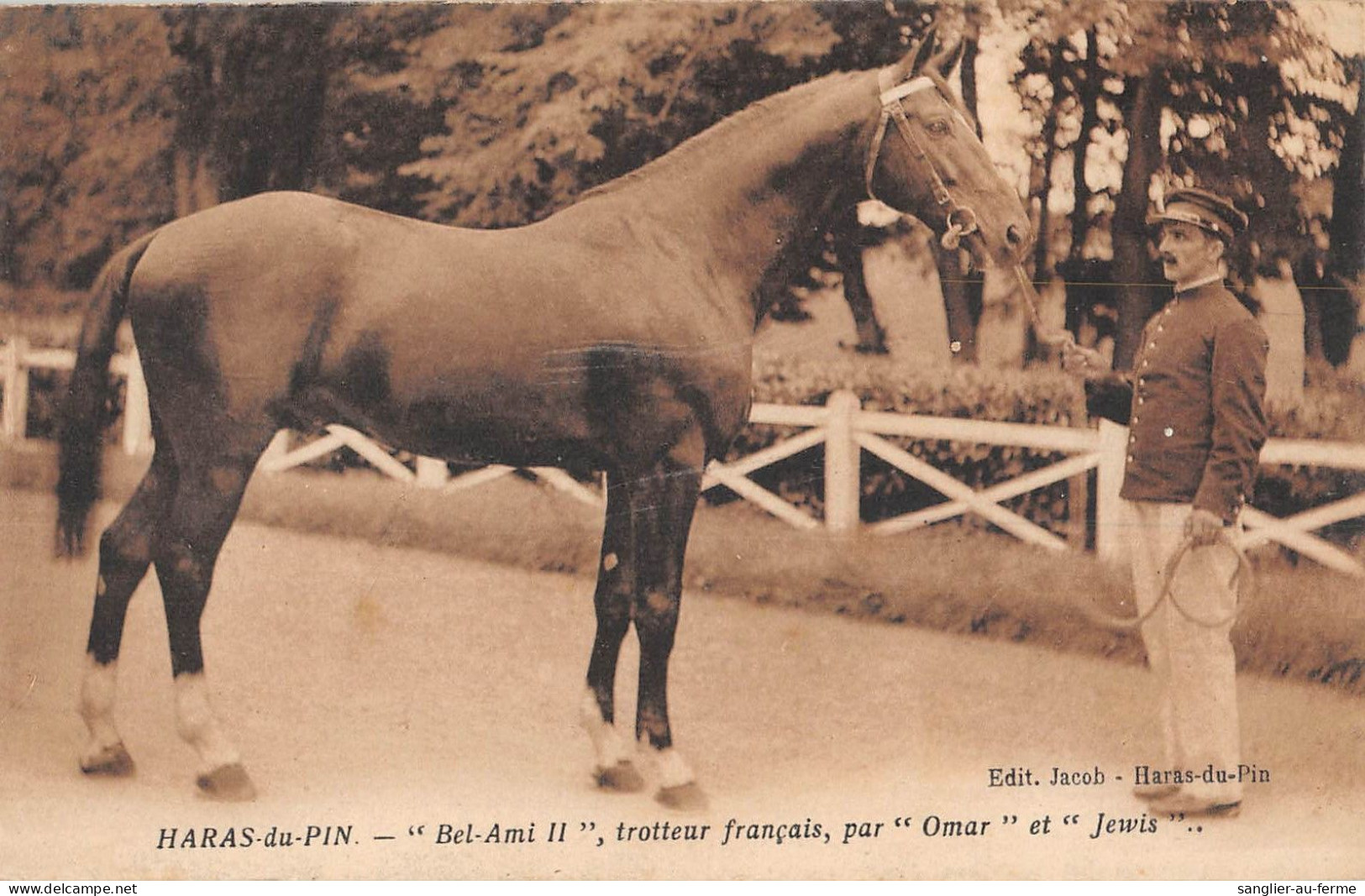 CPA 61 HARAS DU PIN  / BEL AMI II / TROTTEUR FRANCAIS PAR OMAR ET JEWIS - Andere & Zonder Classificatie