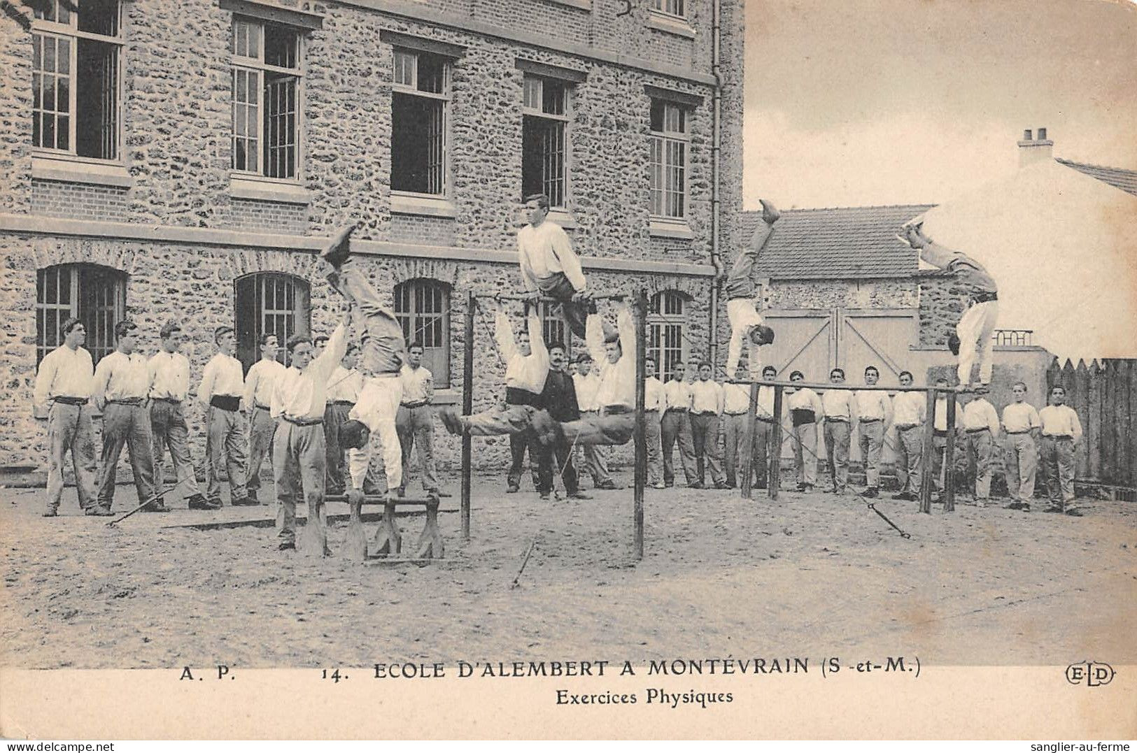 CPA 77 ECOLE D'ALEMBERT A MONTEVRAIN / EXERCICES PHYSIQUES - Altri & Non Classificati