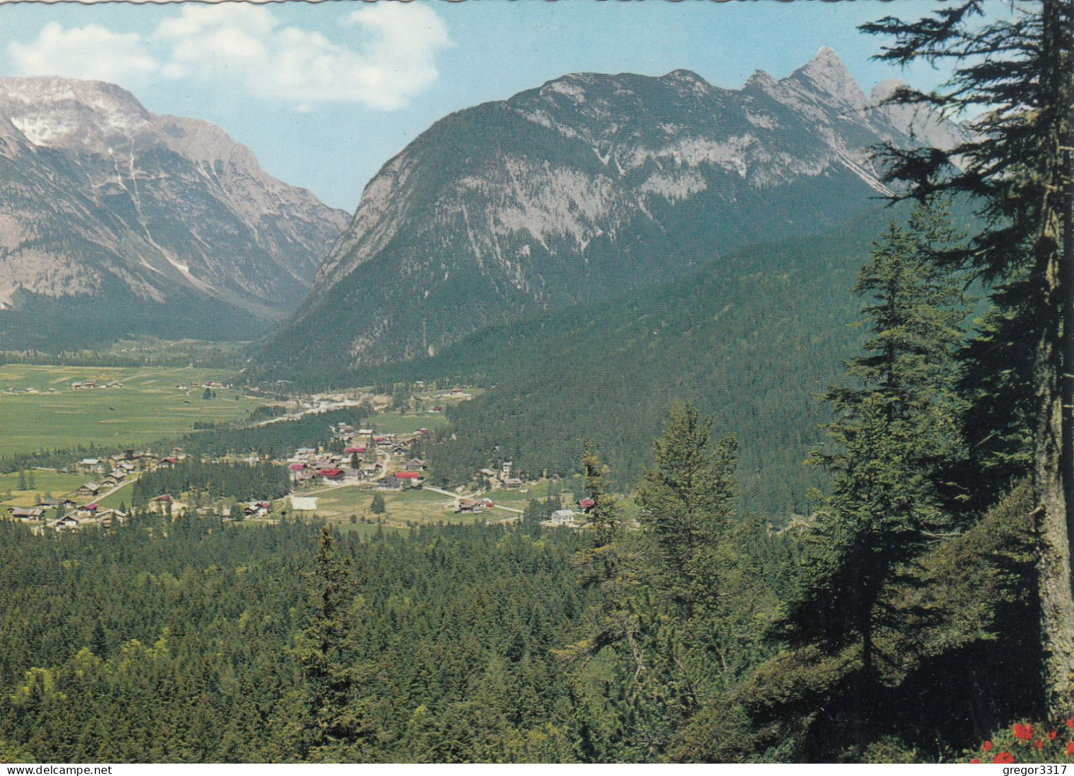 E766) WEIDACH LEUTASCH In Tirol - Gegen Arnspitzen U. Wetterstein - Tolle ältere FOTO AK - Leutasch
