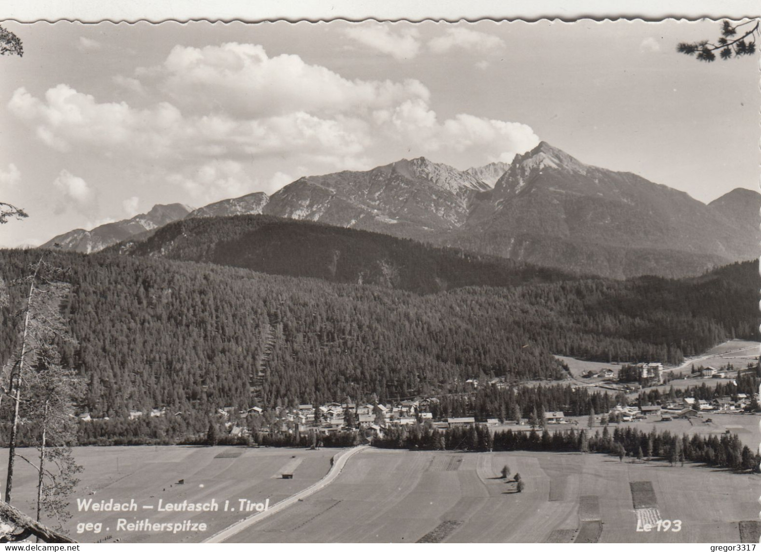 E768) WEIDACH LEUTASCH I. Tirol - Straße U. Felder Geg. Reitherspitze Alte FOOT AK - Leutasch