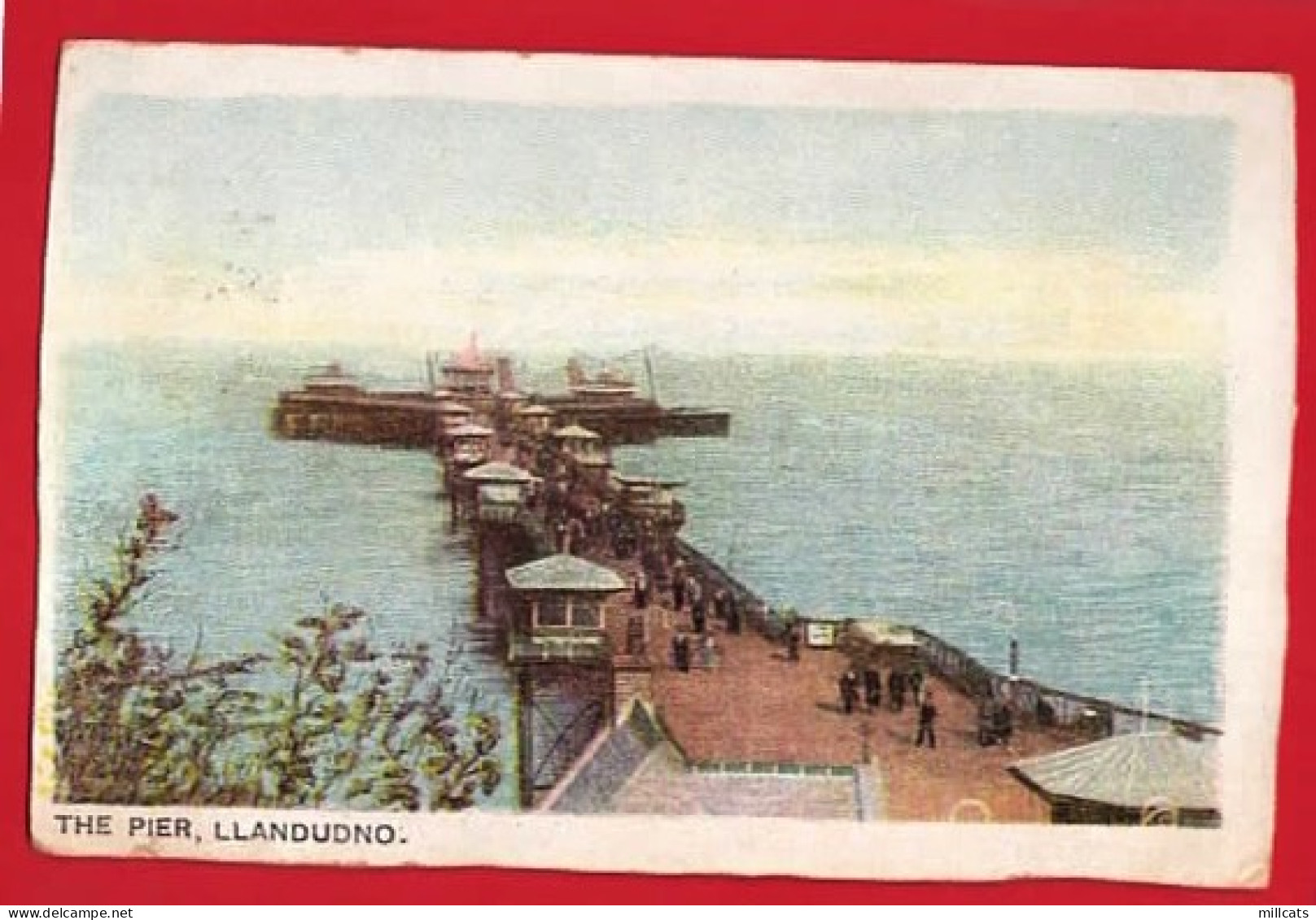 CAERNARVONSHIRE   LLANDUDNO  PIER Pu 1904 - Caernarvonshire