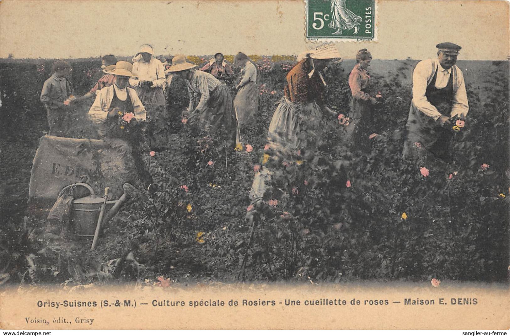 CPA 77 GRISY SUISNES / CULTURE SPECIALE DE ROSIERS / UNE CUEILLETTE DE ROSES / MAISON E.DENIS - Altri & Non Classificati