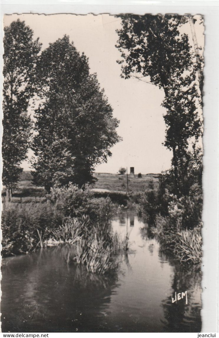 Cpsm Format Cpa.10. SOLESMES . VUE SUR LA SELLE .  CARTE AFFR AU VERSO  .  2 SCANNES - Solesmes