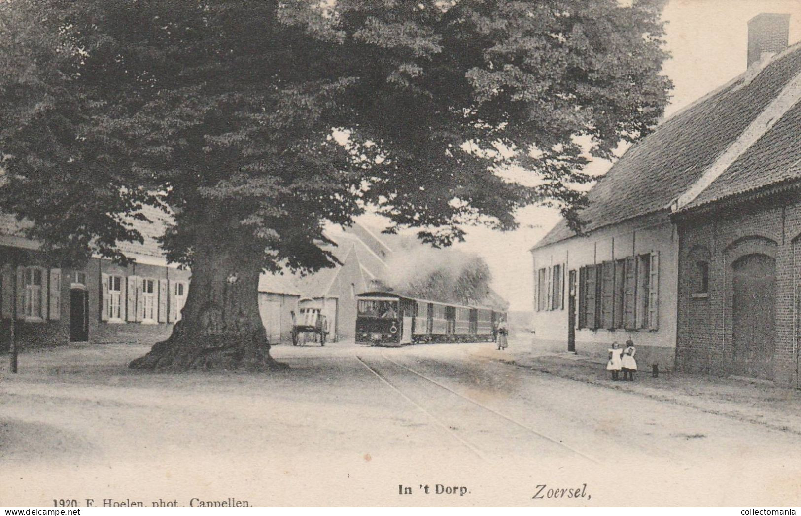 1 Oude Postkaart ZOERSEL  Stoomtram   Zicht In 't Dorp  1903  Uitg.Hoelen - Zörsel