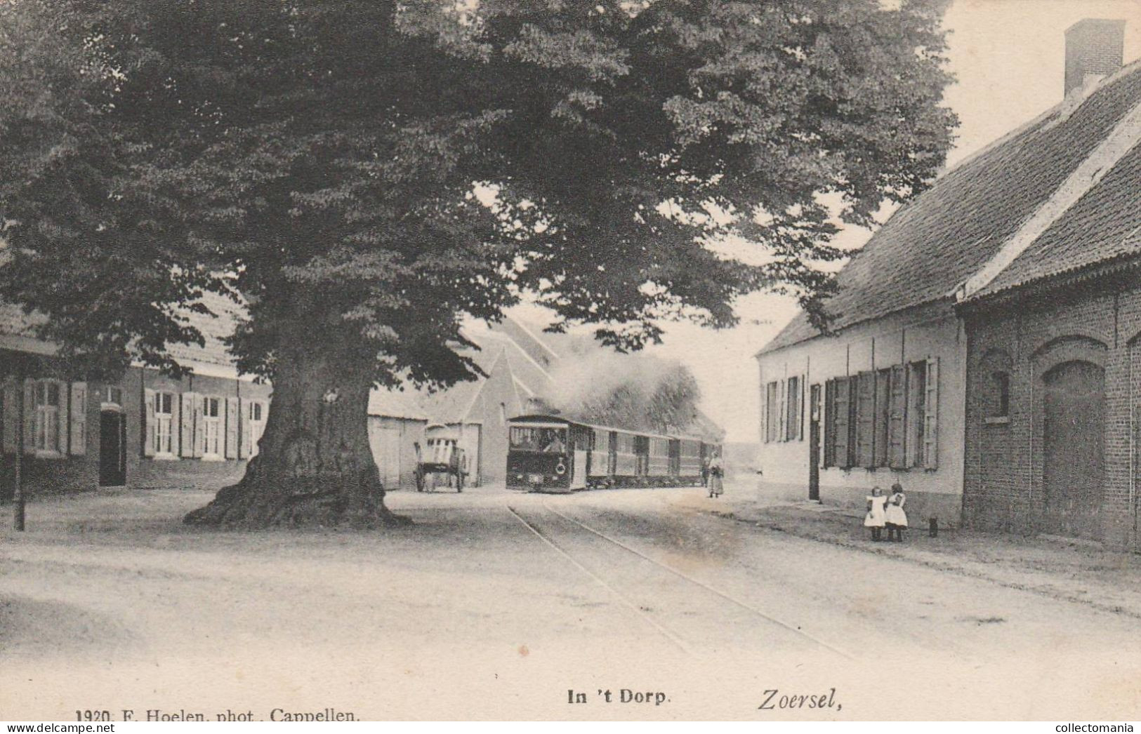 1 Oude Postkaart ZOERSEL  Stoomtram   Zicht In 't Dorp  1903  Uitg.Hoelen - Zoersel