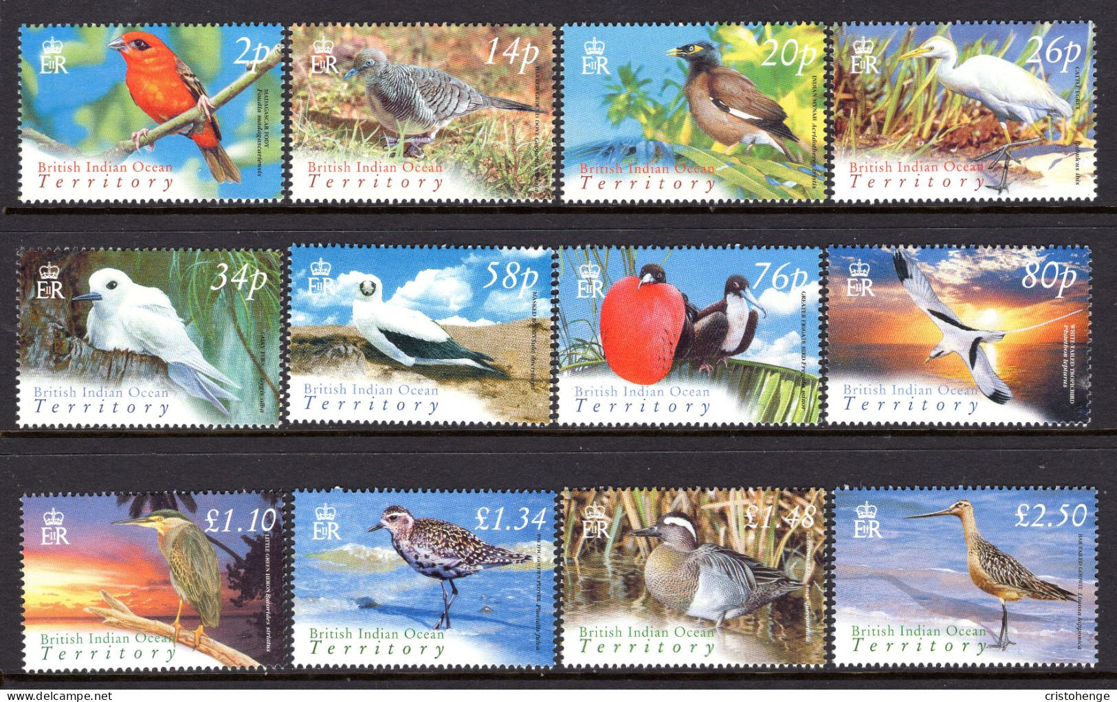 British Indian Ocean Territory, BIOT 2004 Birds Set MNH (SG 296-307) - Territorio Britannico Dell'Oceano Indiano