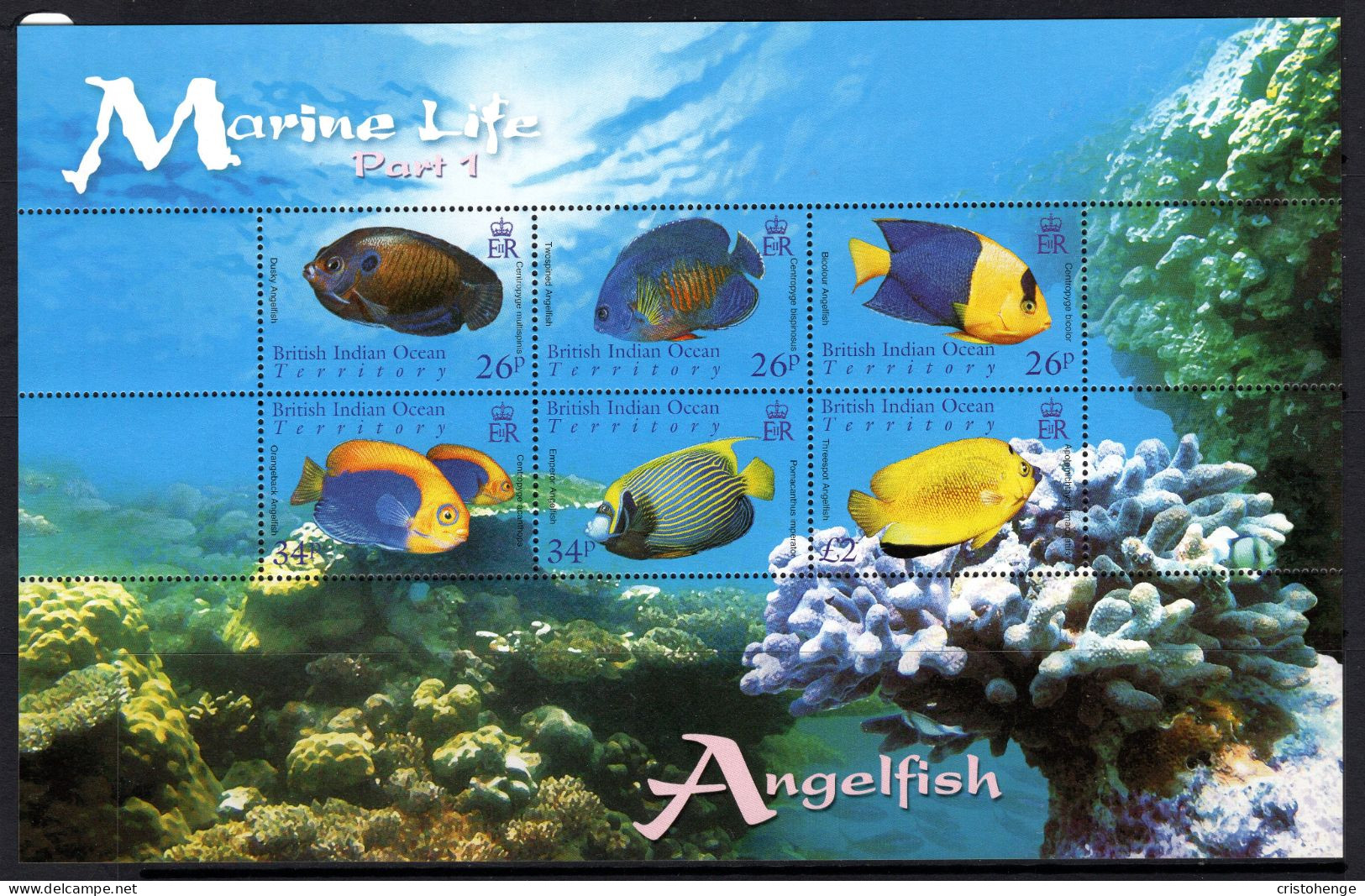 British Indian Ocean Territory, BIOT 2006 Marine Life - Angelfish MS MNH (SG MS353) - Territoire Britannique De L'Océan Indien