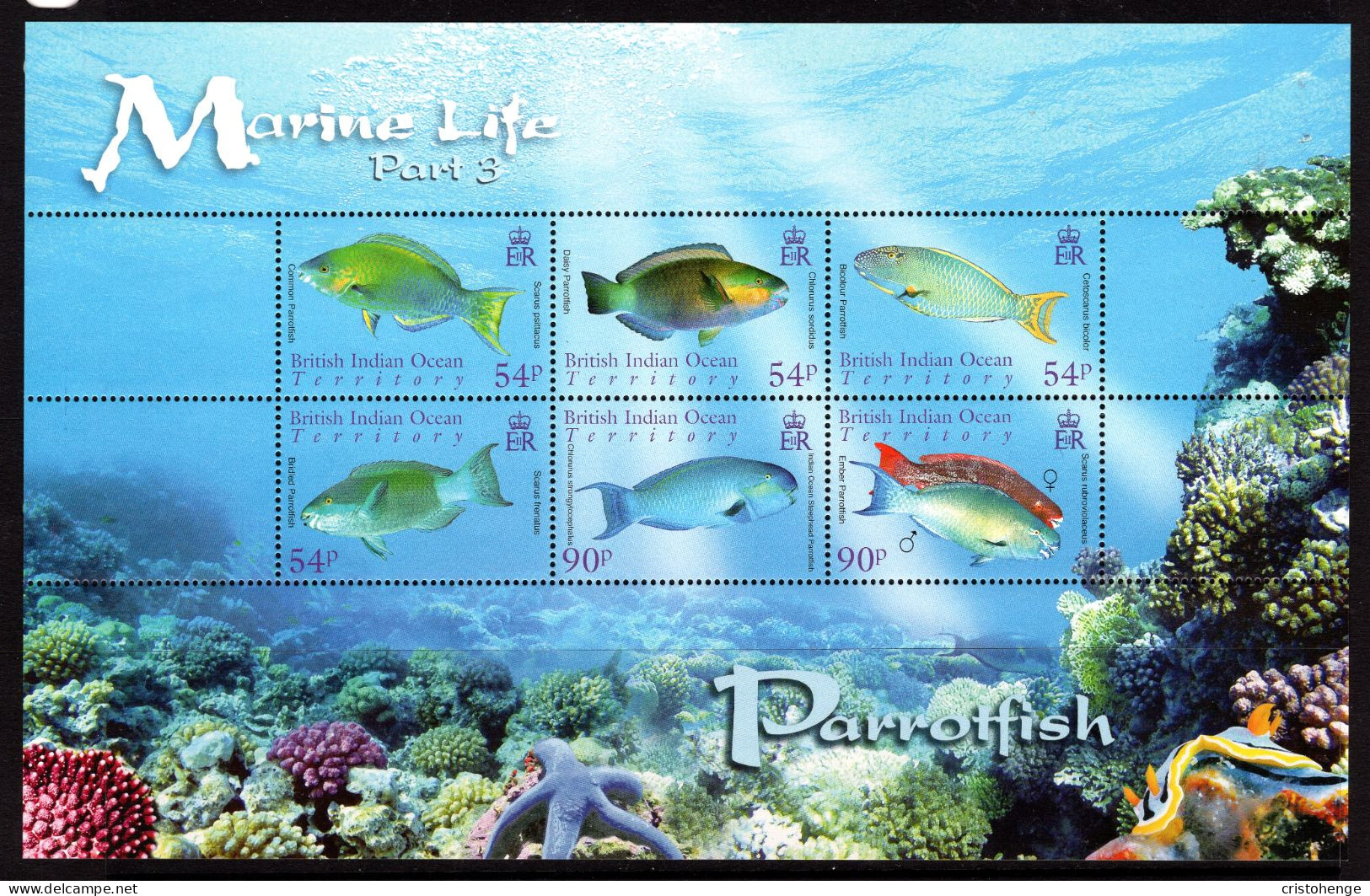 British Indian Ocean Territory, BIOT 2007 Marine Life - Parrotfish MS MNH (SG MS356) - Territorio Britannico Dell'Oceano Indiano