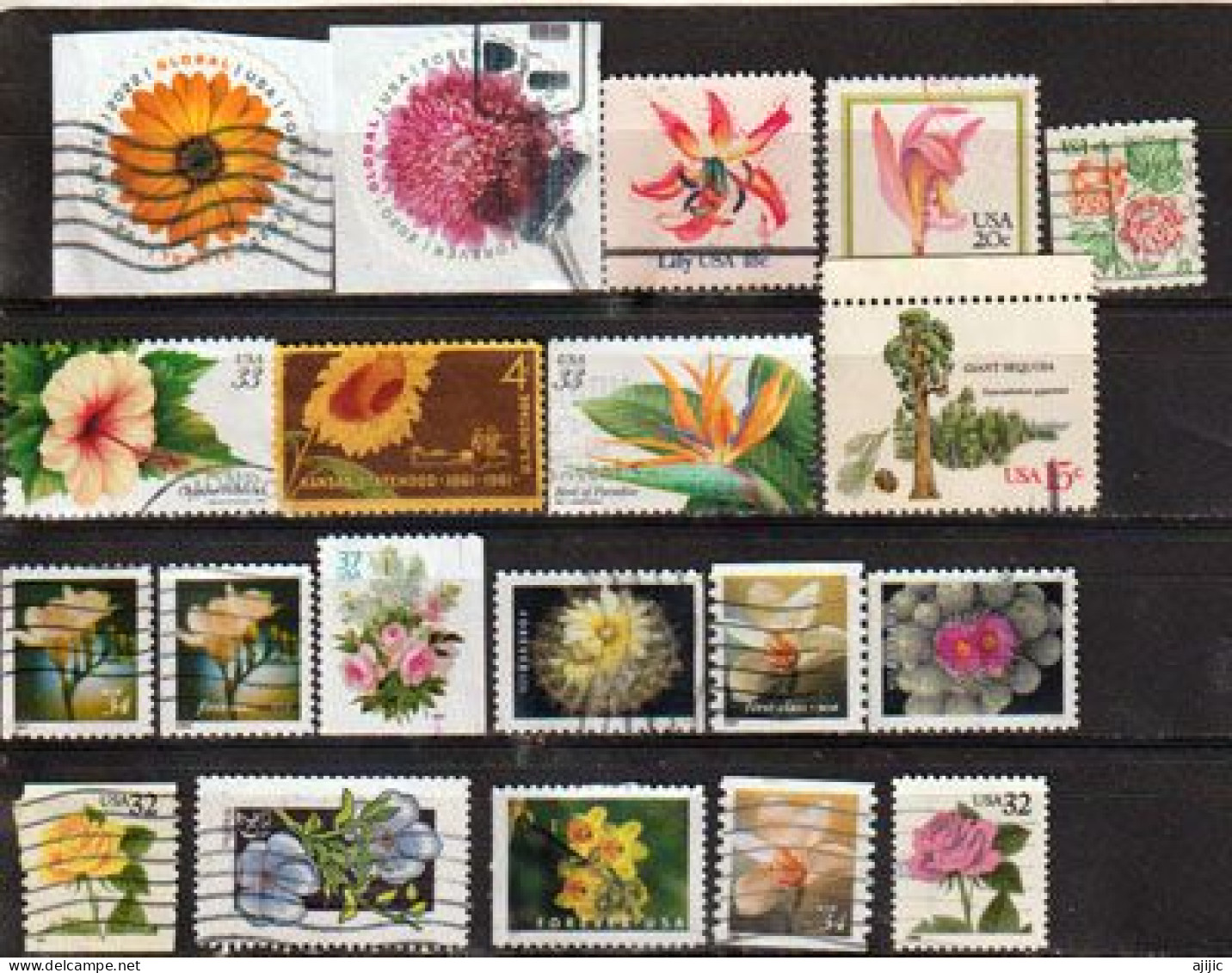 USA.  Les Fleurs Aux Etats-Unis. Beau Lot De 20 Timbres Differents  # 1 - Mezclas (max 999 Sellos)