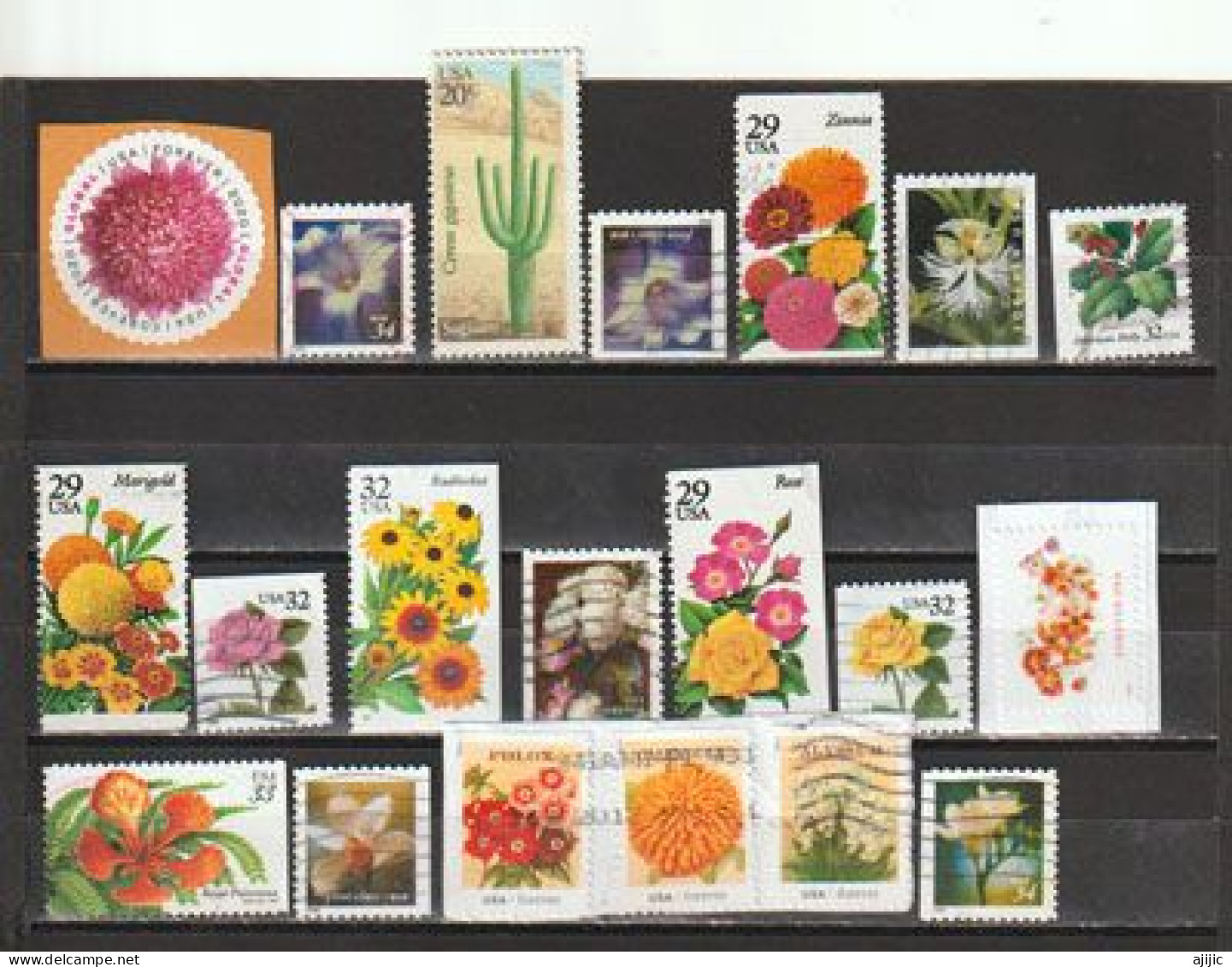 USA.  Les Fleurs Aux Etats-Unis. Beau Lot De 20 Timbres Differents  #  3 - Mezclas (max 999 Sellos)