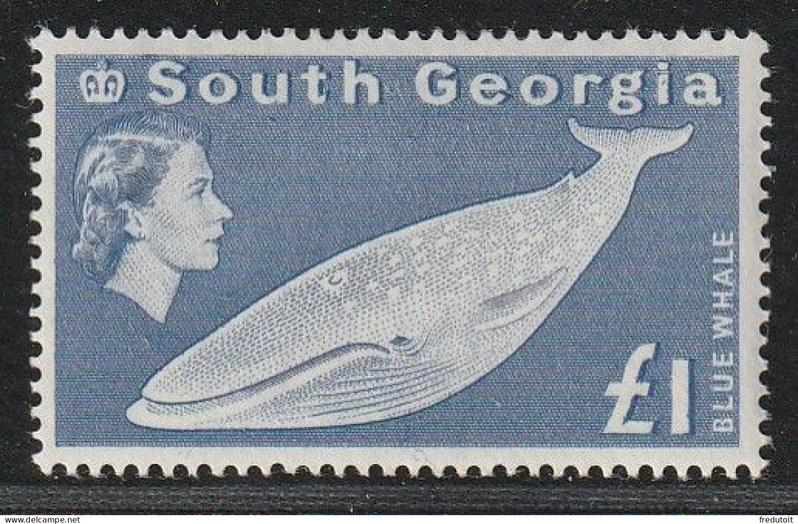 GEORGIE Du SUD (FALKLAND) - N°23 * (1963-69) 1£ Outremer - South Georgia