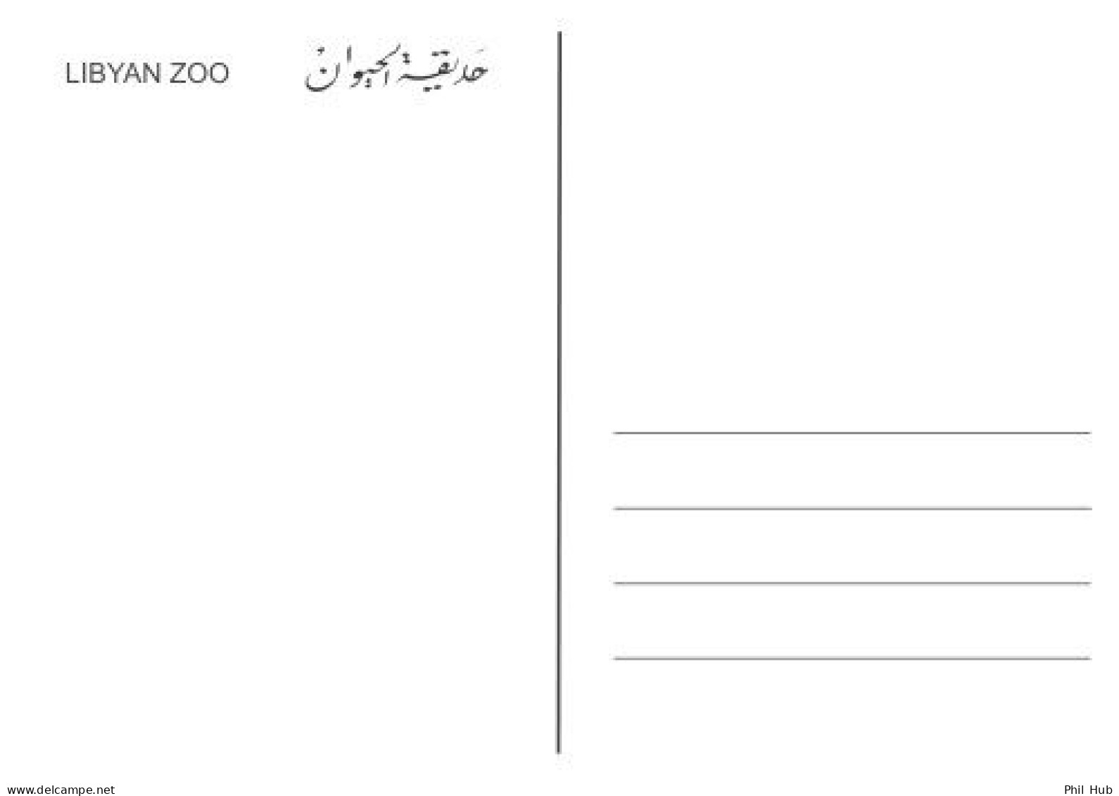 LIBYA 1995 Birds Wildlife "Sandgrouse" (maximum-card) - Patrijzen, Kwartels