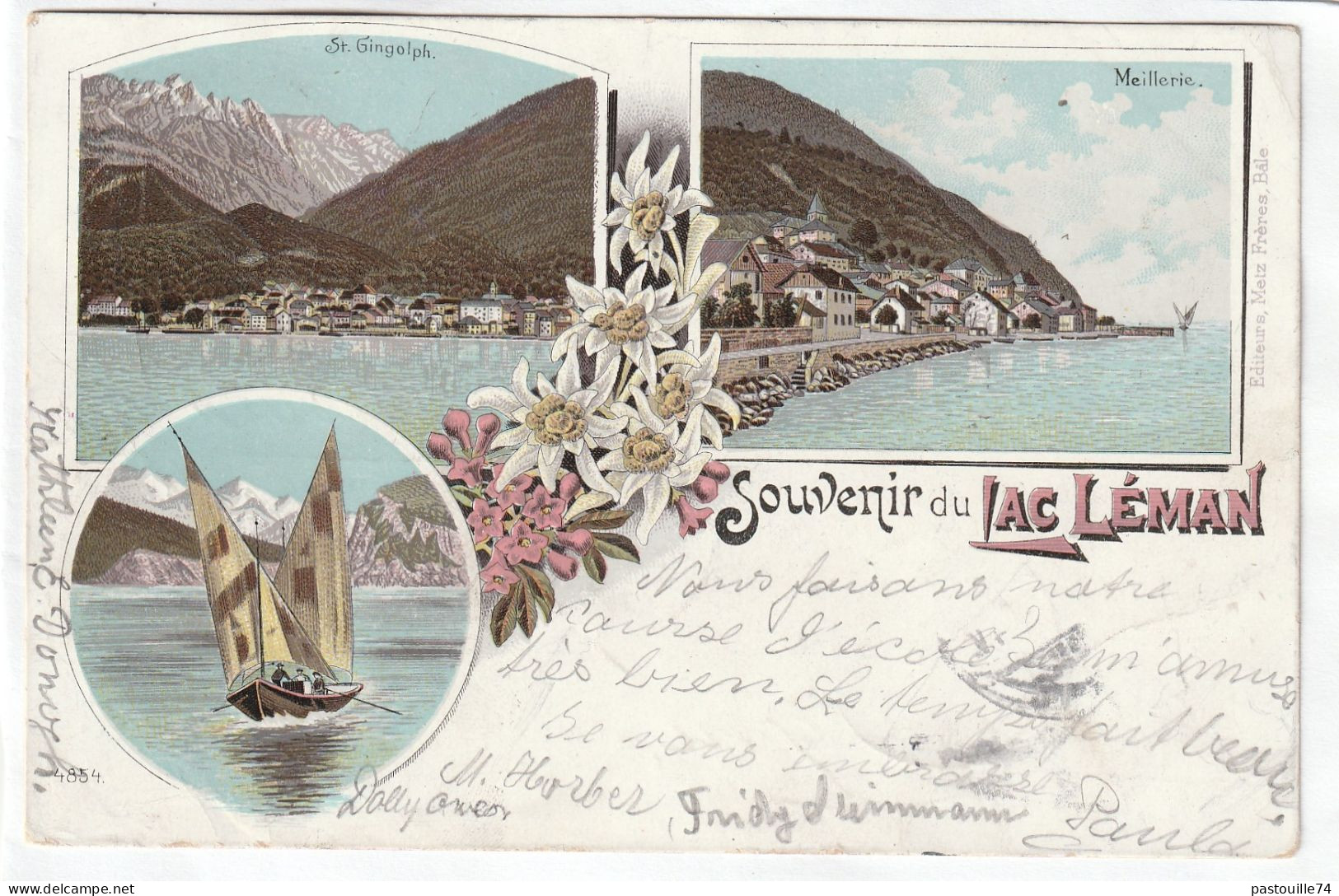 CPA :  14 X 9  -  Souvenir  Du  LAC  LEMAN - Saint-Gingolph