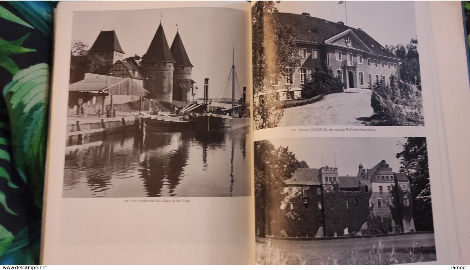 Ostpreussen  Buch  Memelgebiet Viele Fotos - Biographien & Memoiren