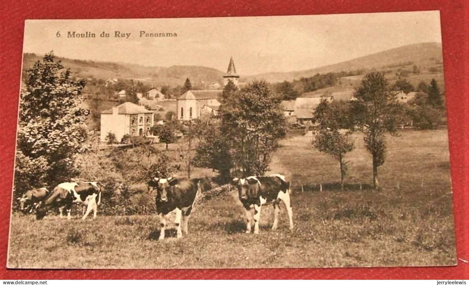 STOUMONT -  Moulin  Du Ruy  -  Panorama - Stoumont