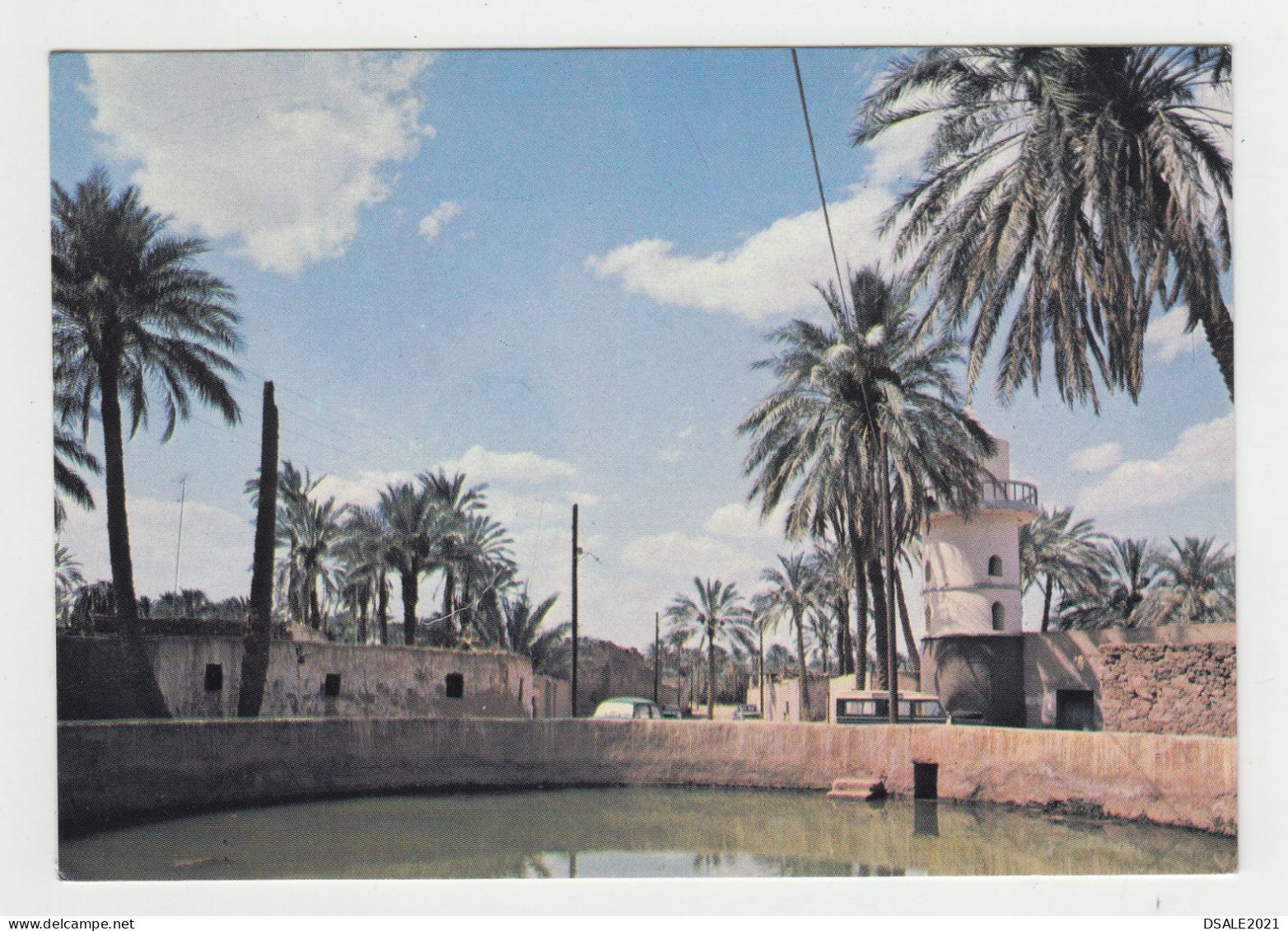 Libya Libia, Oasis Of The Many, In Al Jamahiriya, View Vintage Photo Postcard RPPc (4153) - Libia