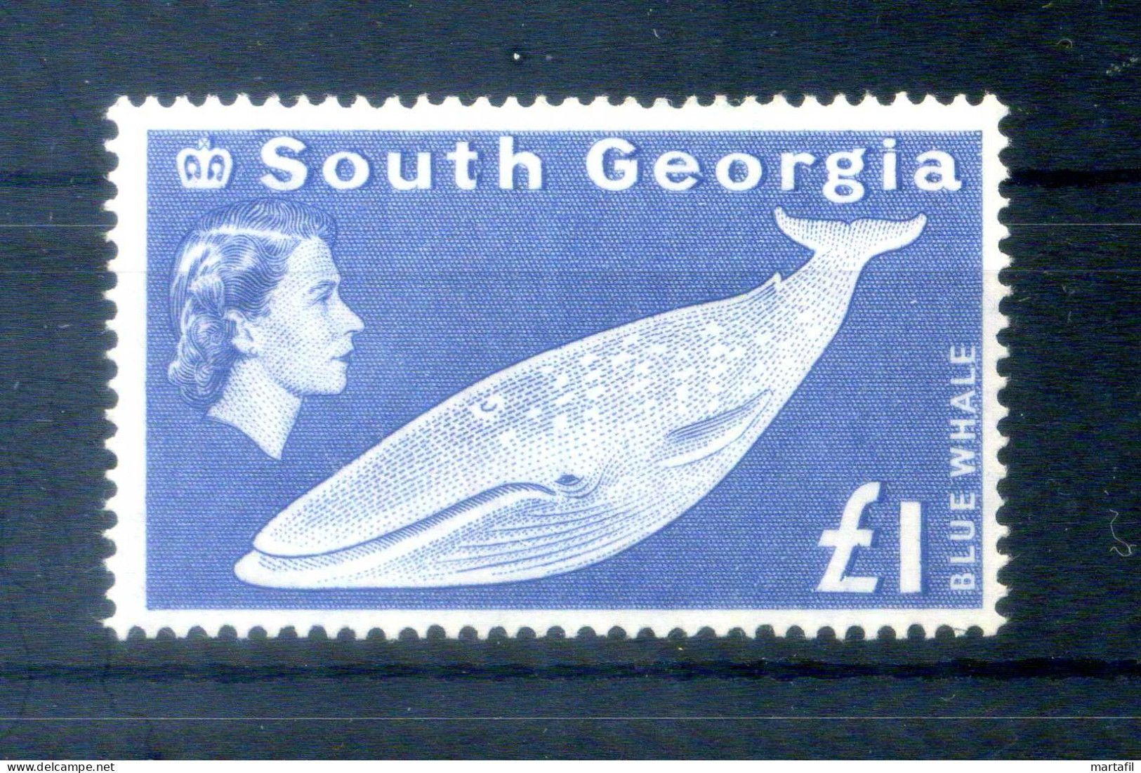 1963-69 FALKLAND Georgia Del Sud N.23 MNH ** 1£. Blue Whale, Oltremare - Georgias Del Sur (Islas)