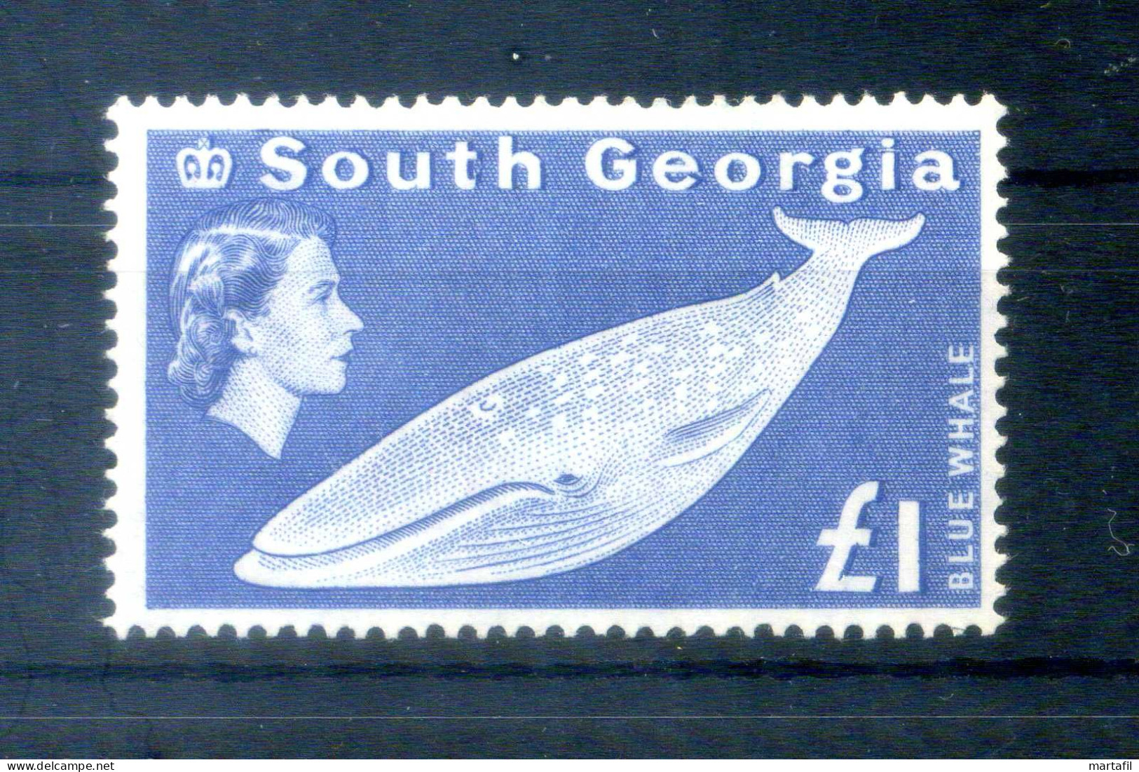 1963-69 FALKLAND Georgia Del Sud N.23 MNH ** 1£. Blue Whale, Oltremare - Südgeorgien