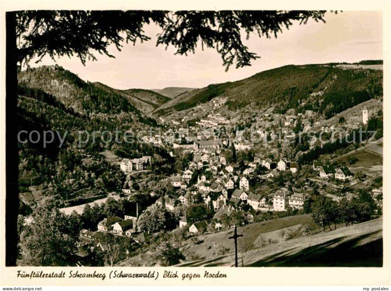 42625182 Schramberg Fuenftaelerstadt Panorama Schramberg - Schramberg