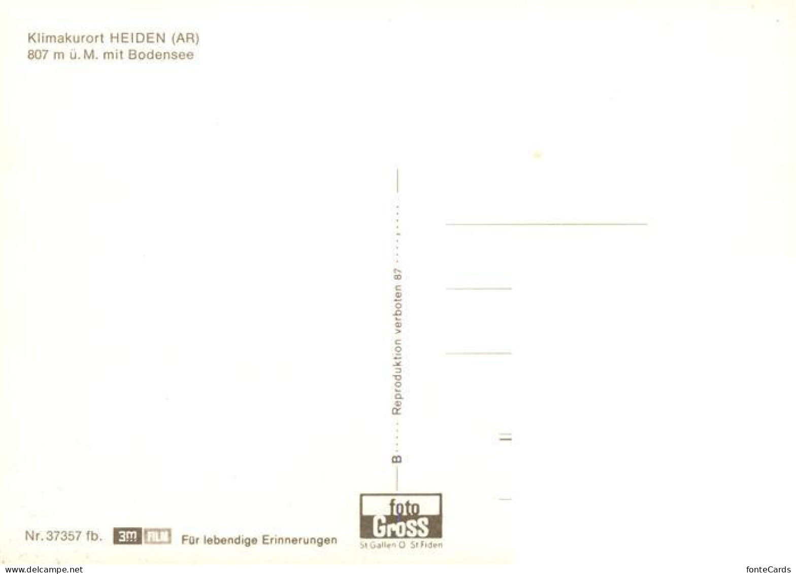 13945435 Heiden_AR Panorama Klimakurort Mit Blick Auf Den Bodensee - Sonstige & Ohne Zuordnung