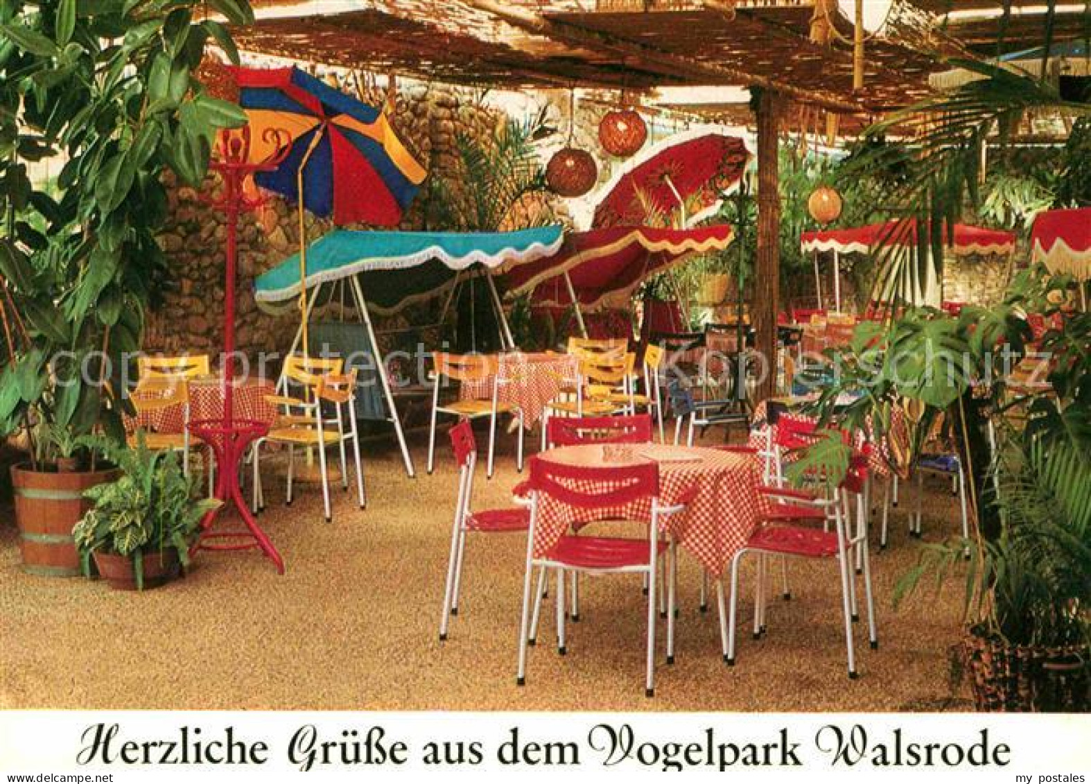 42622979 Walsrode Lueneburger Heide VogelparkTropencafe Paradieshalle Walsrode - Walsrode