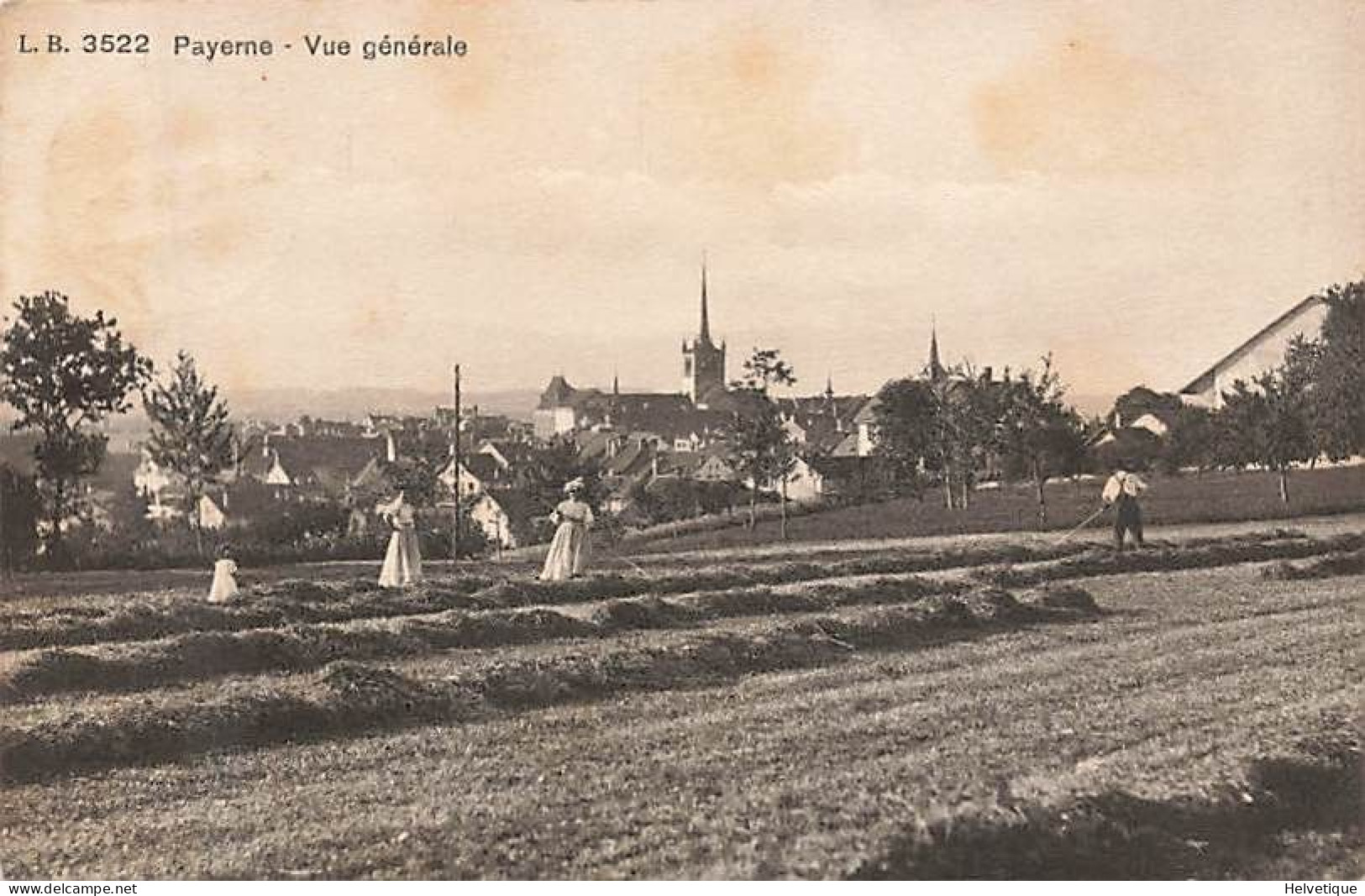 Payerne Vue Générale Fenaison Foins  Moissons 1919 - Payerne