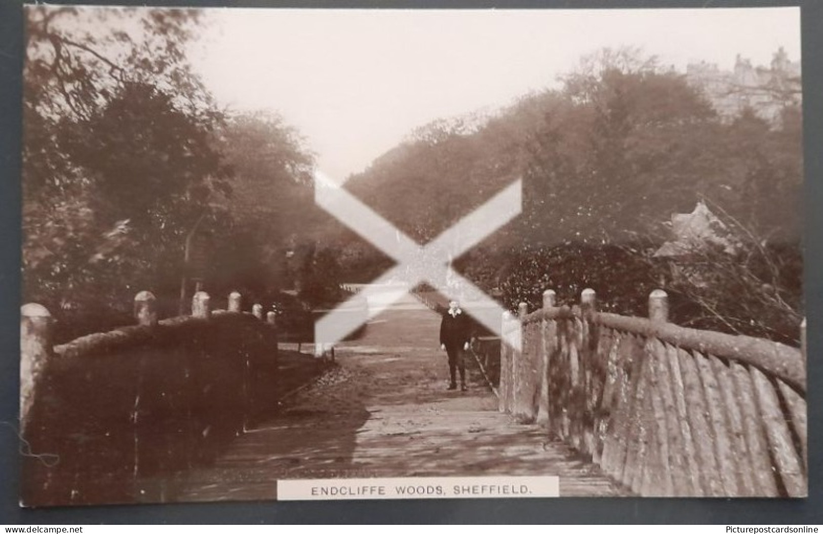 ENDCLIFFE WOODS SHEFFIELD OLD R/P POSTCARD YORKSHIRE Publisher F. Copleston, Sheffield. Card No 5 - Sheffield