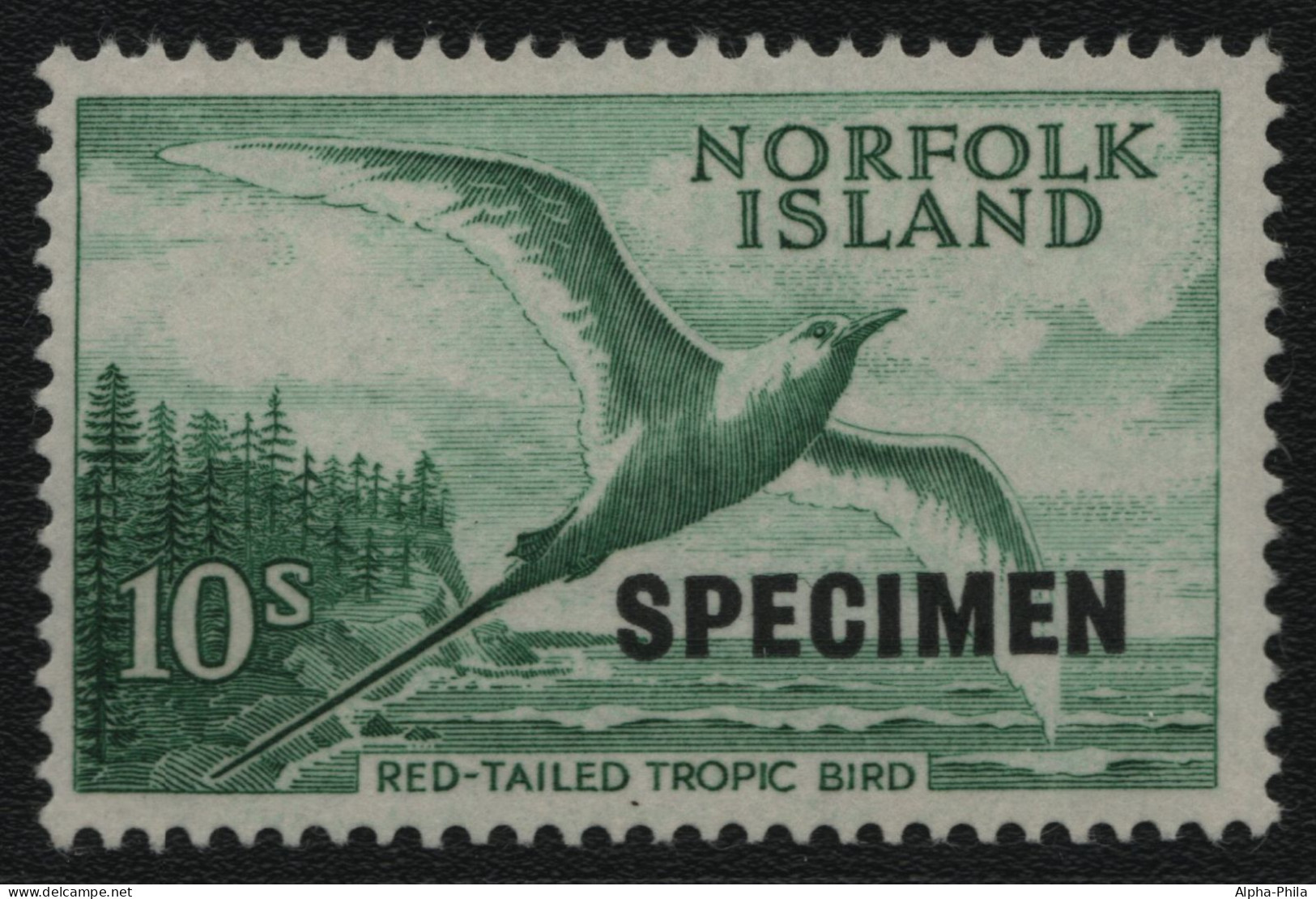 Norfolk-Insel 1960 - Mi-Nr. 36 ** - MNH - Vögel / Birds - Specimen (I) - Norfolk Island