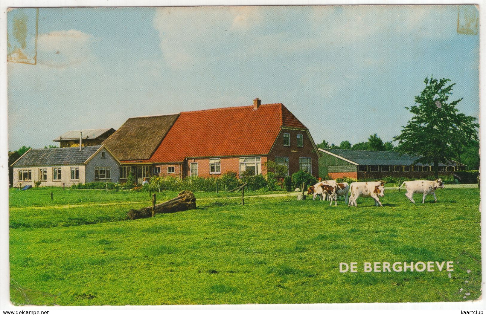 Epe - Kampeerboerderij 'De Berghoeve', Veenweg 9 - (Gelderland, Nederland/Holland) - - Epe