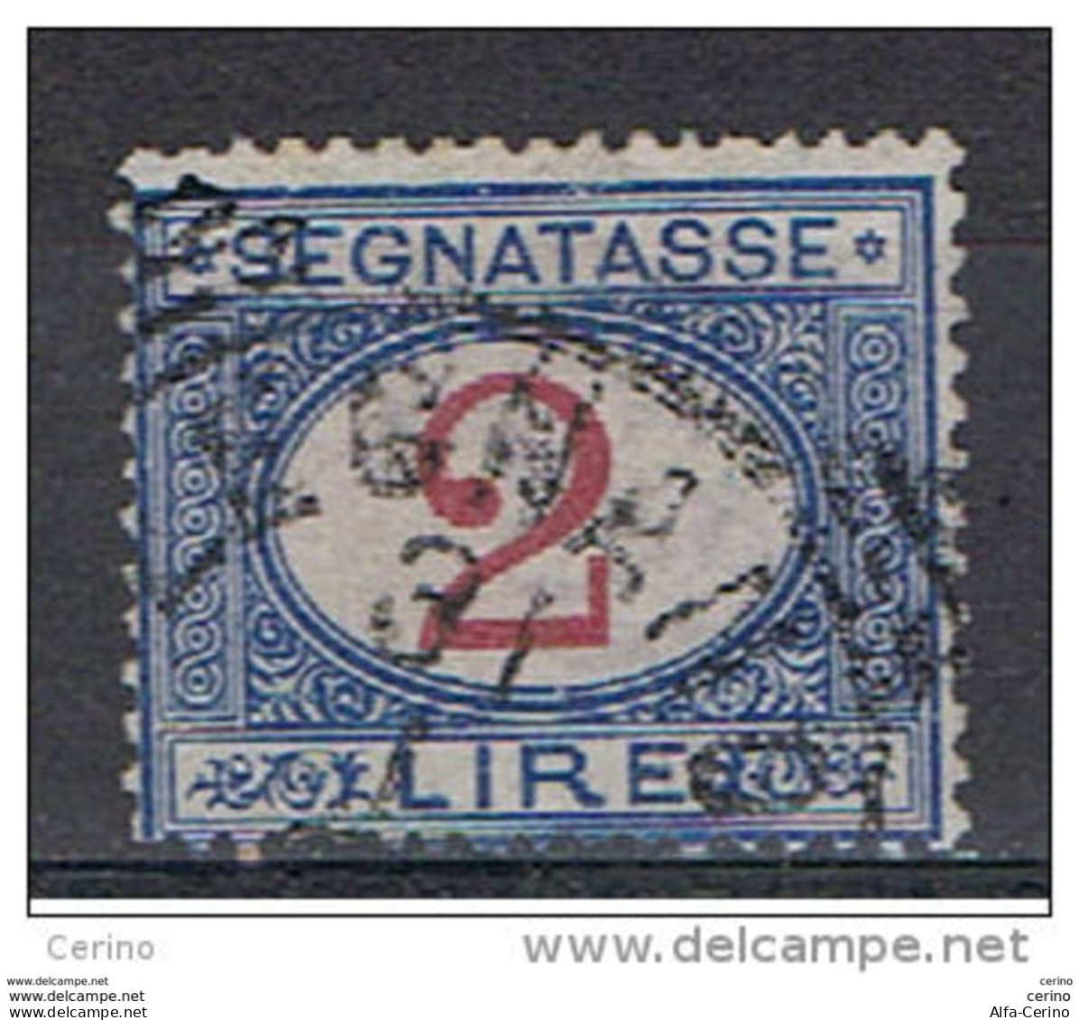 REGNO:  1903  TASSE  -  £. 2  AZZURRO  E  CARMINIO  US. -  SASS. 29 - Postage Due