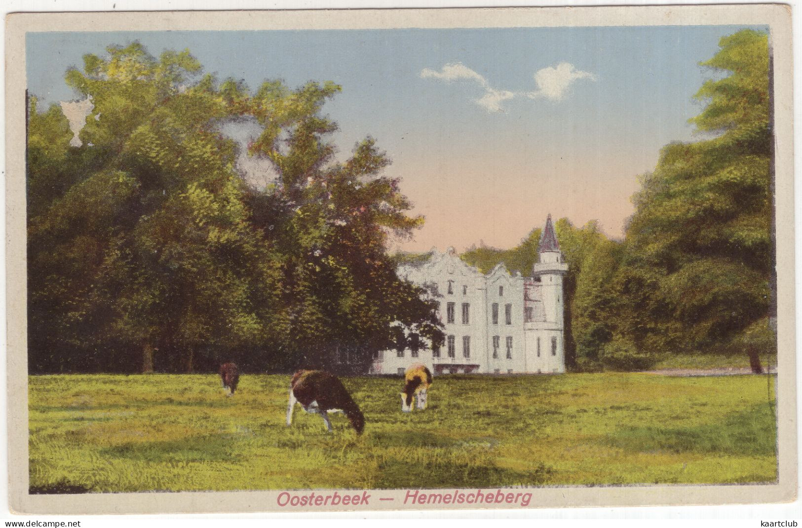 Oosterbeek - Hemelscheberg - (Gelderland, Nederland/Holland) - 1927 - Koeien - Oosterbeek