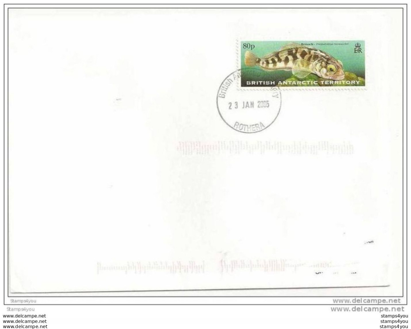 212 - 37 - Lettre Antarctique Britannique Base Rothera - Timbre Poisson 2005 - Brieven En Documenten