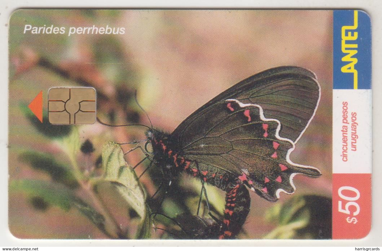 URUGUAY - Parides Perrhebus (Butterfly), TC 245a, Chip: GEM5 (Red), 50 $ , Tirage 100.000, Used - Uruguay