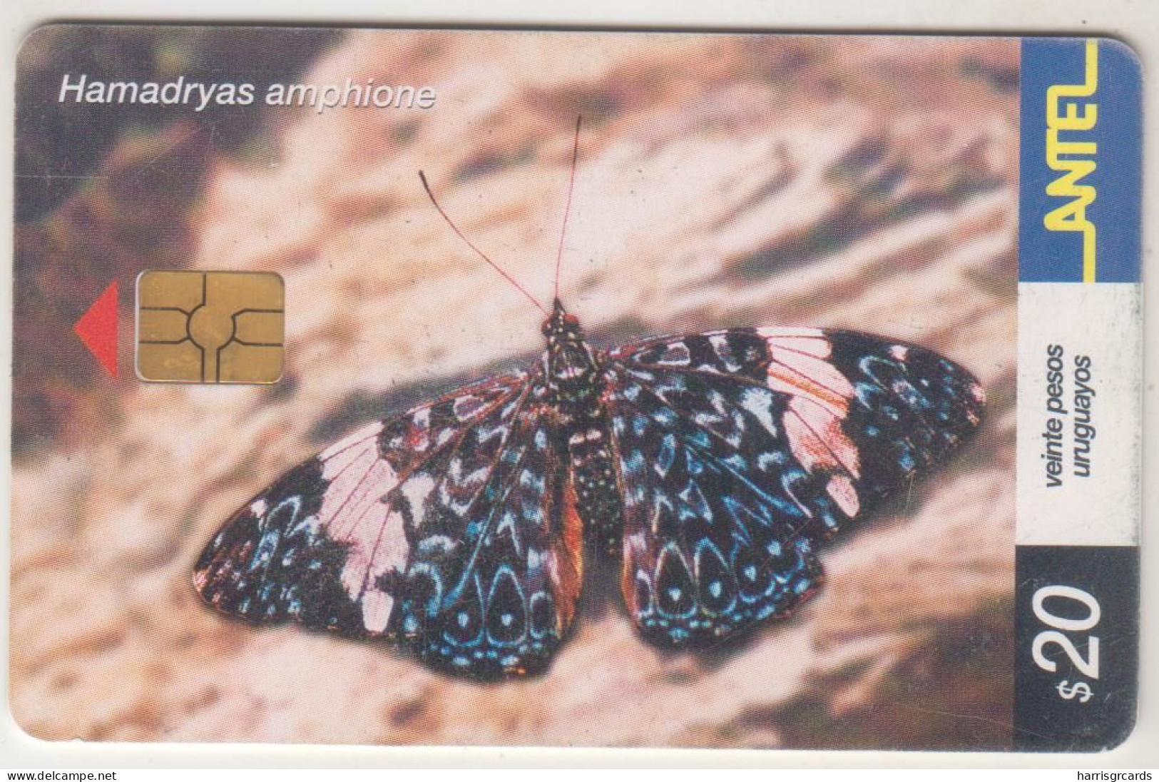 URUGUAY - Parides Perrhebus (Butterfly), TC 245a, Chip: GEM5 (Black), 20 $ , Tirage 200.000, Used - Uruguay