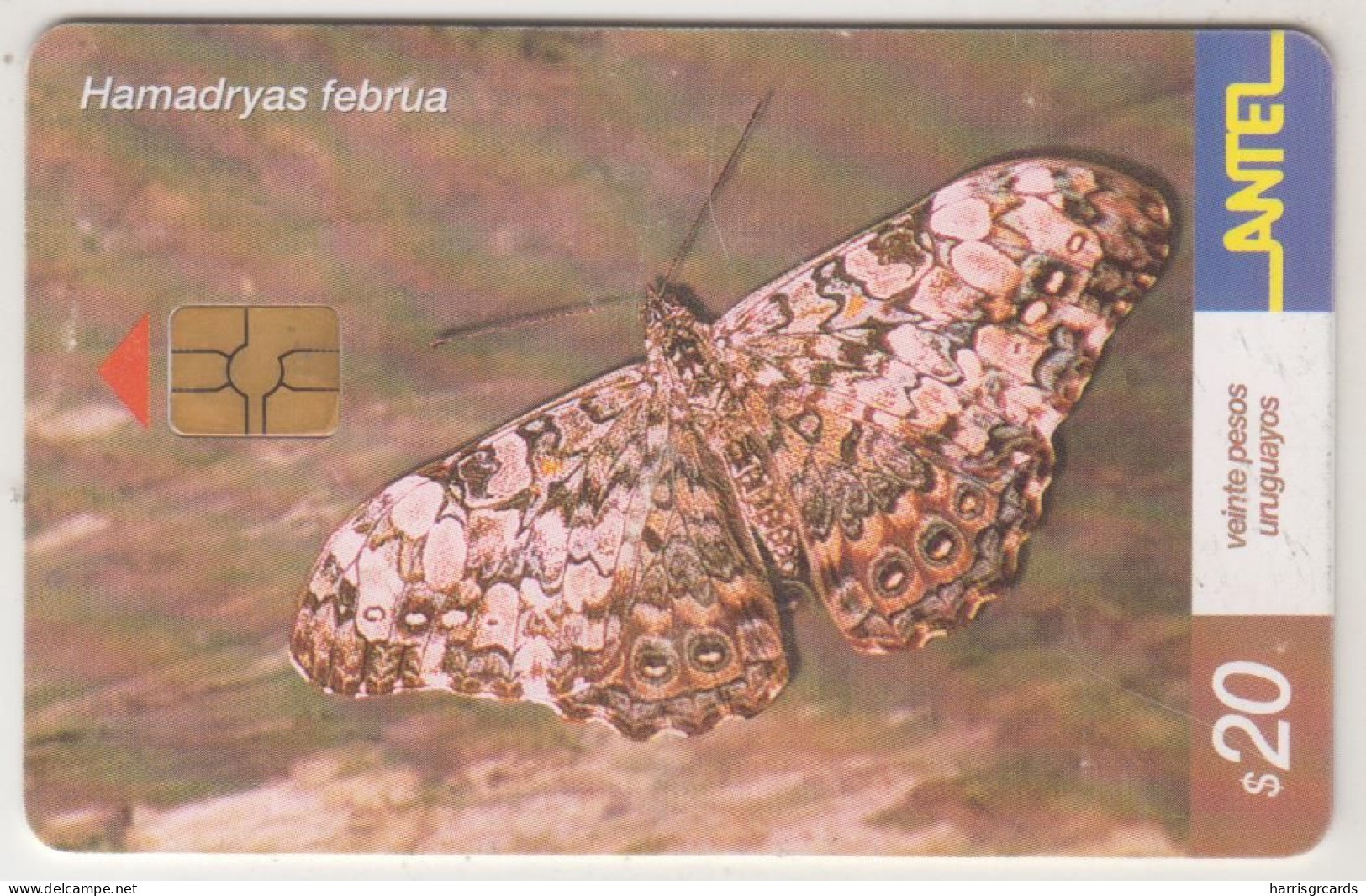 URUGUAY - Hamadryas Februa (Butterfly), TC 248a, Chip: GEM5 (Black), 20 $ , Tirage 200.000, Used - Uruguay