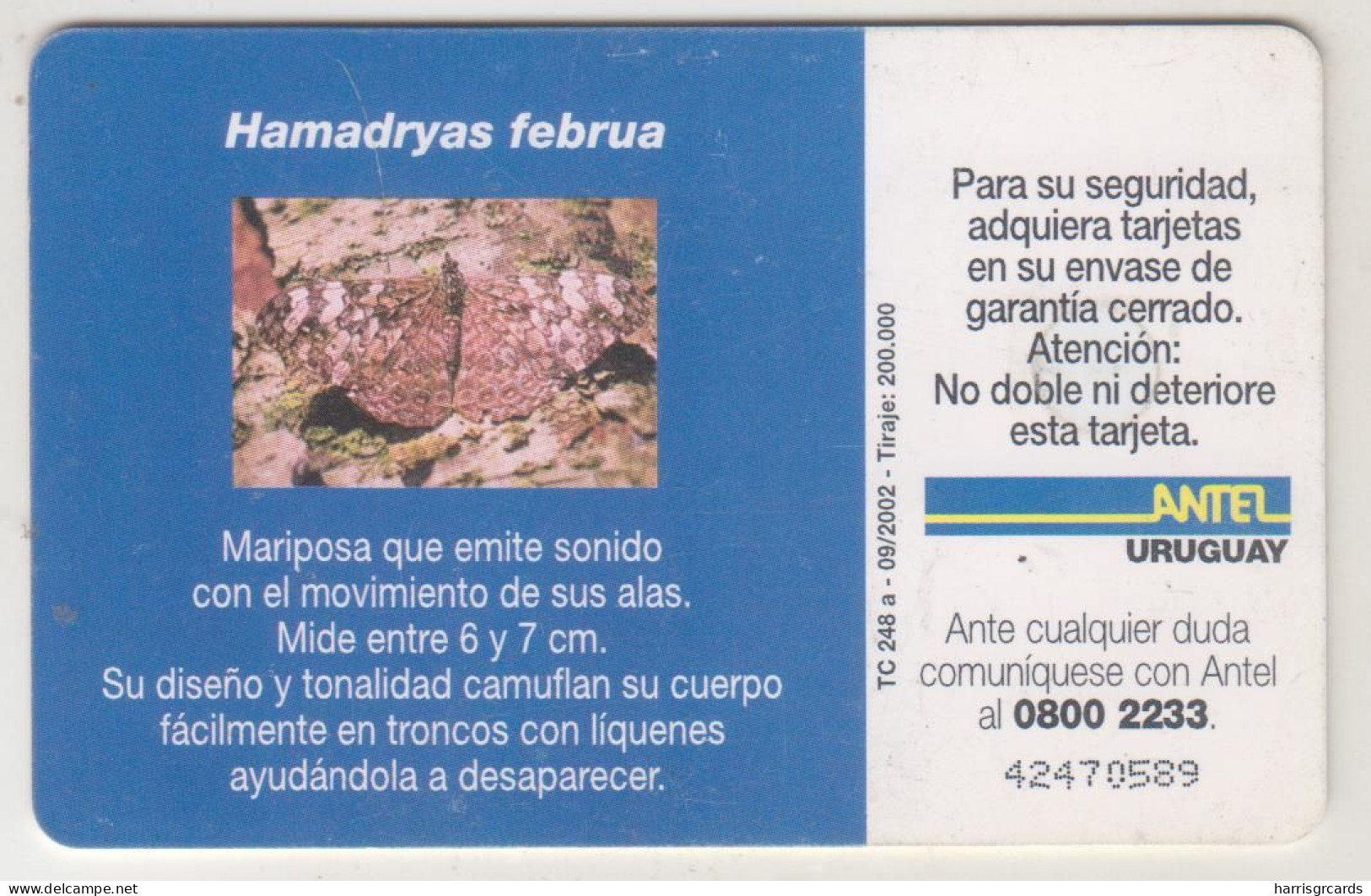 URUGUAY - Hamadryas Februa (Butterfly), TC 248a, Chip: GEM5 (Black), 20 $ , Tirage 200.000, Used - Uruguay