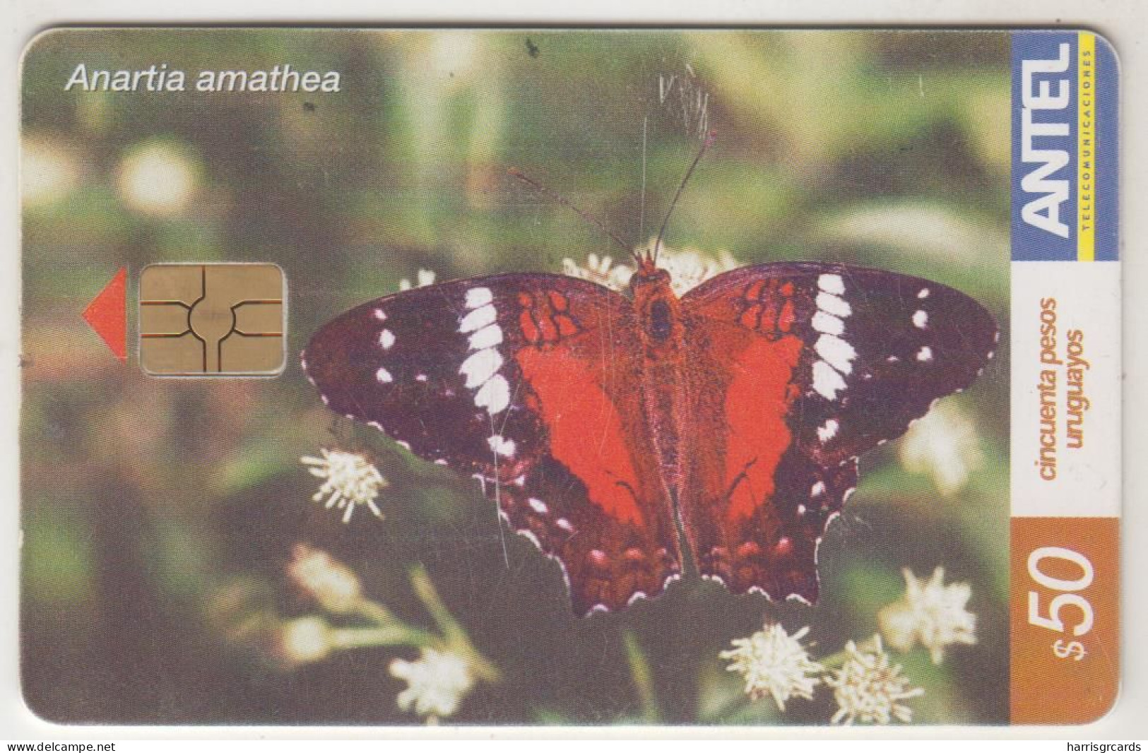 URUGUAY - Anartia Amathea (Butterfly), TC 285a, Chip: GEM5 (Red), 50 $ , Tirage 100.000, Used - Uruguay
