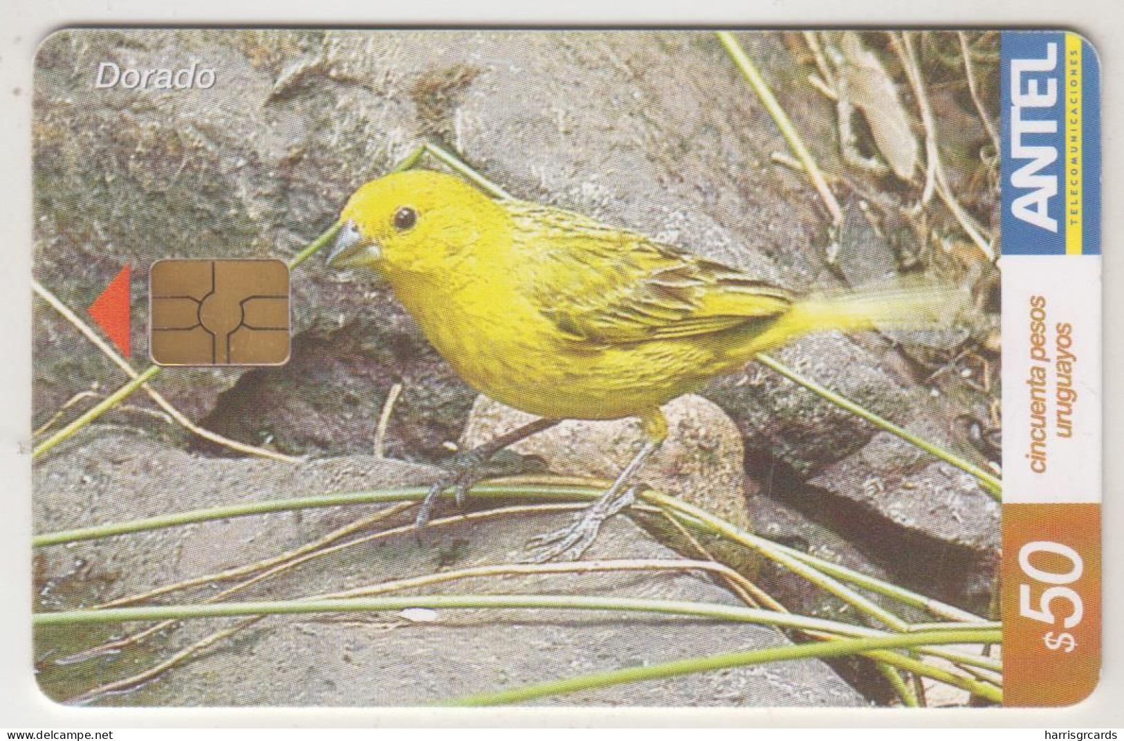 URUGUAY - Dorado (Bird), TC 380a, Chip: GEM5 (Black), 50 $ , Tirage 100.000, Used - Uruguay