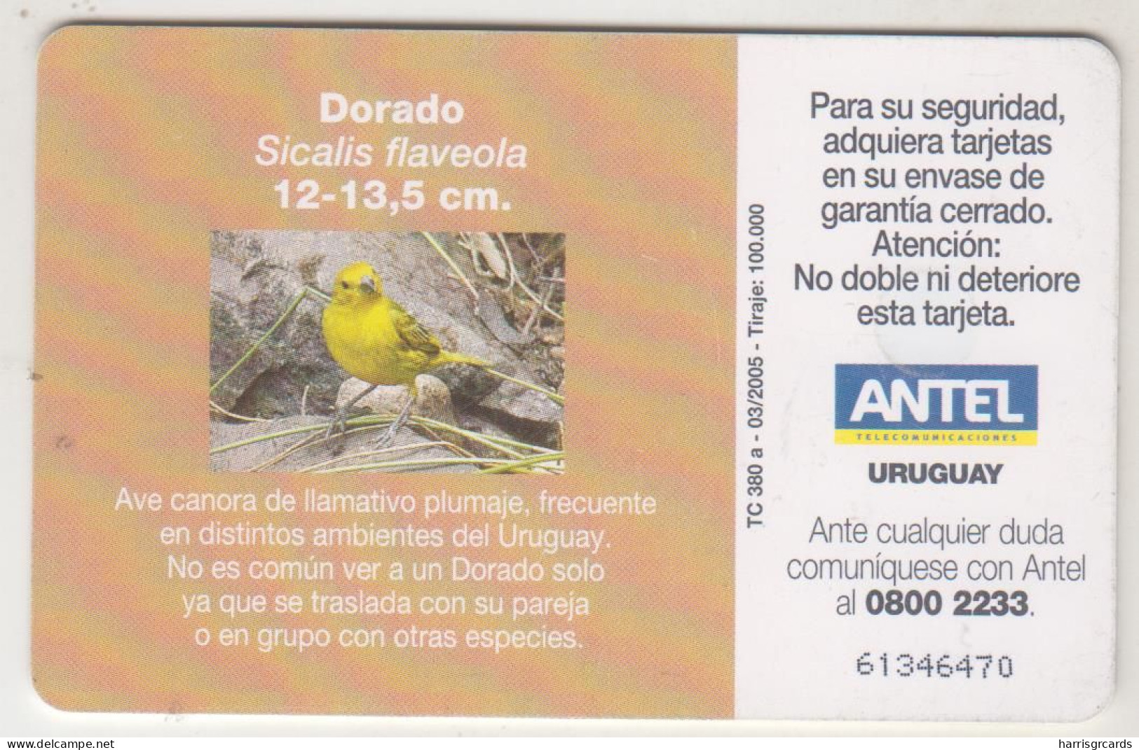 URUGUAY - Dorado (Bird), TC 380a, Chip: GEM5 (Black), 50 $ , Tirage 100.000, Used - Uruguay