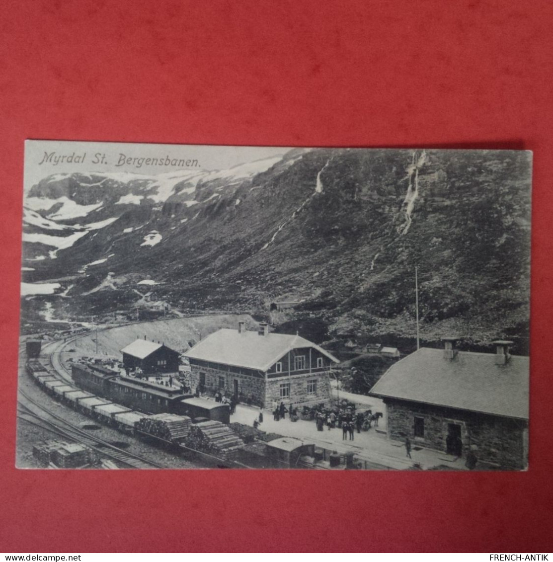 MYRDAL ST BERGENSBANEN GARE - Noruega