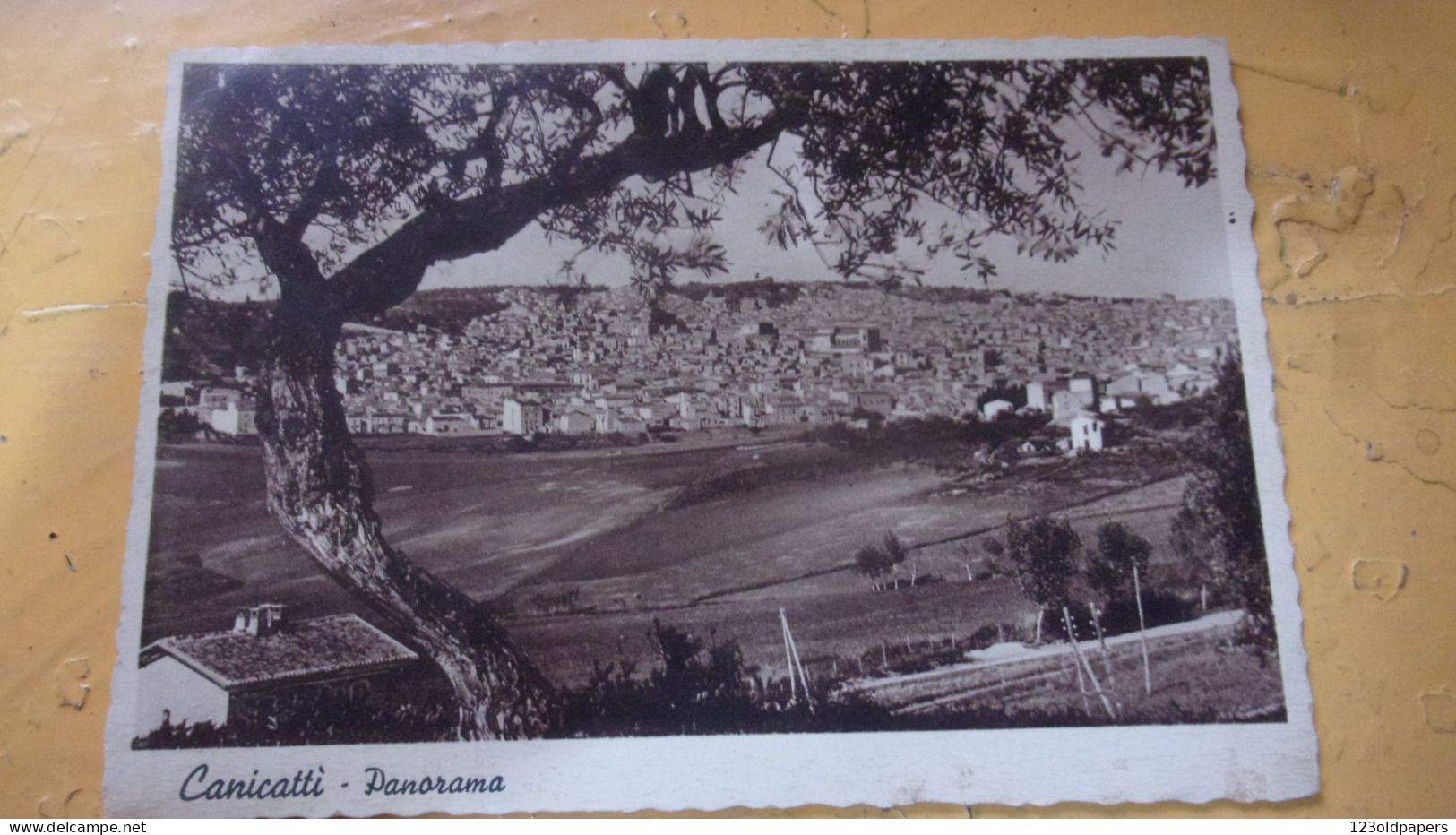 Sicilia - Agrigento - Canicatti - Panorama 1946 - Other & Unclassified