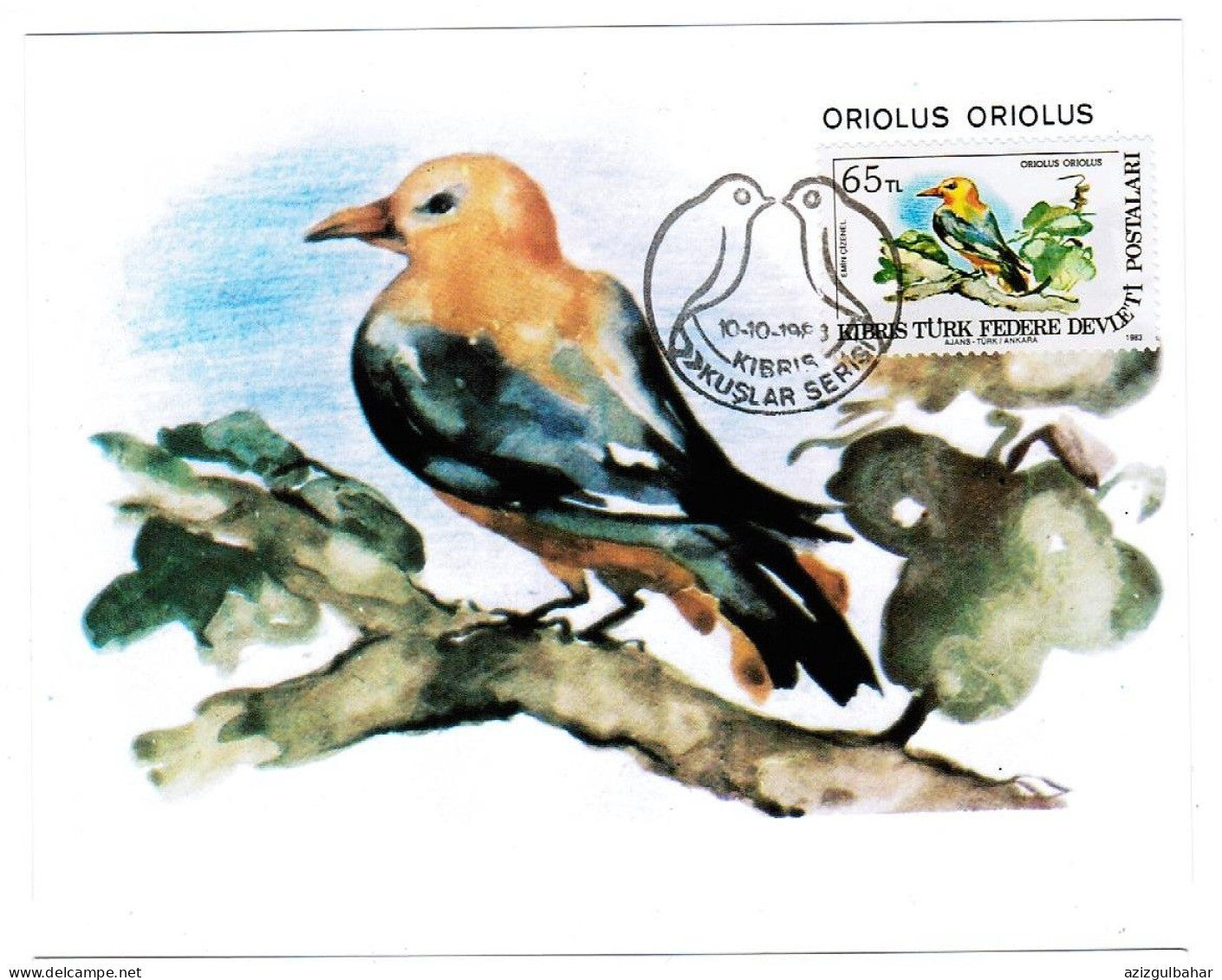 TURKISH CYPRUS CARD MAXIMUM - BIRDS - Covers & Documents